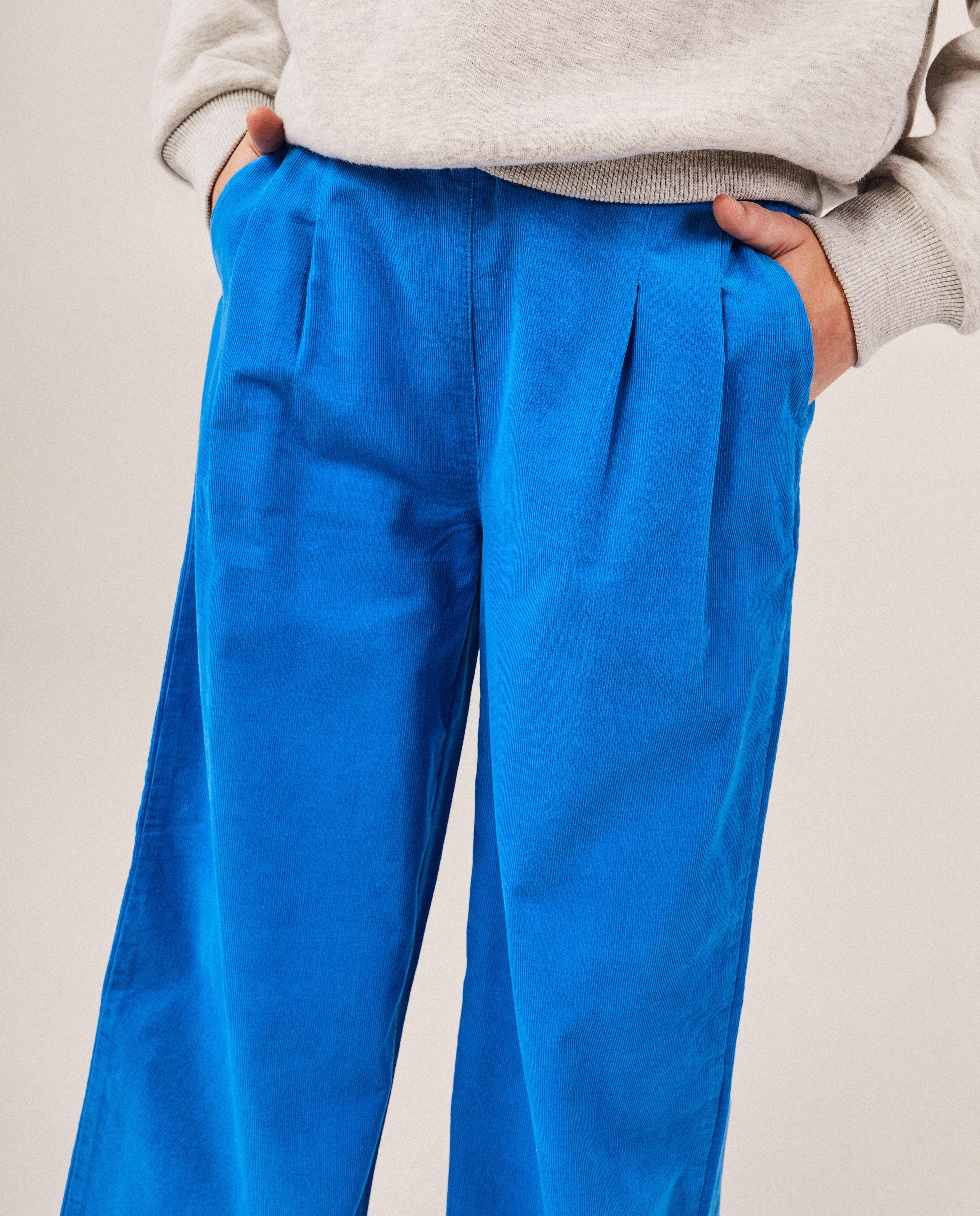 Broeken - Blauwe broek van ribfluweel