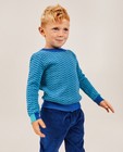 Truien - Blauwe trui met zigzag-patroon