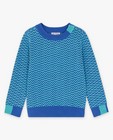 Truien - Blauwe trui met zigzag-patroon