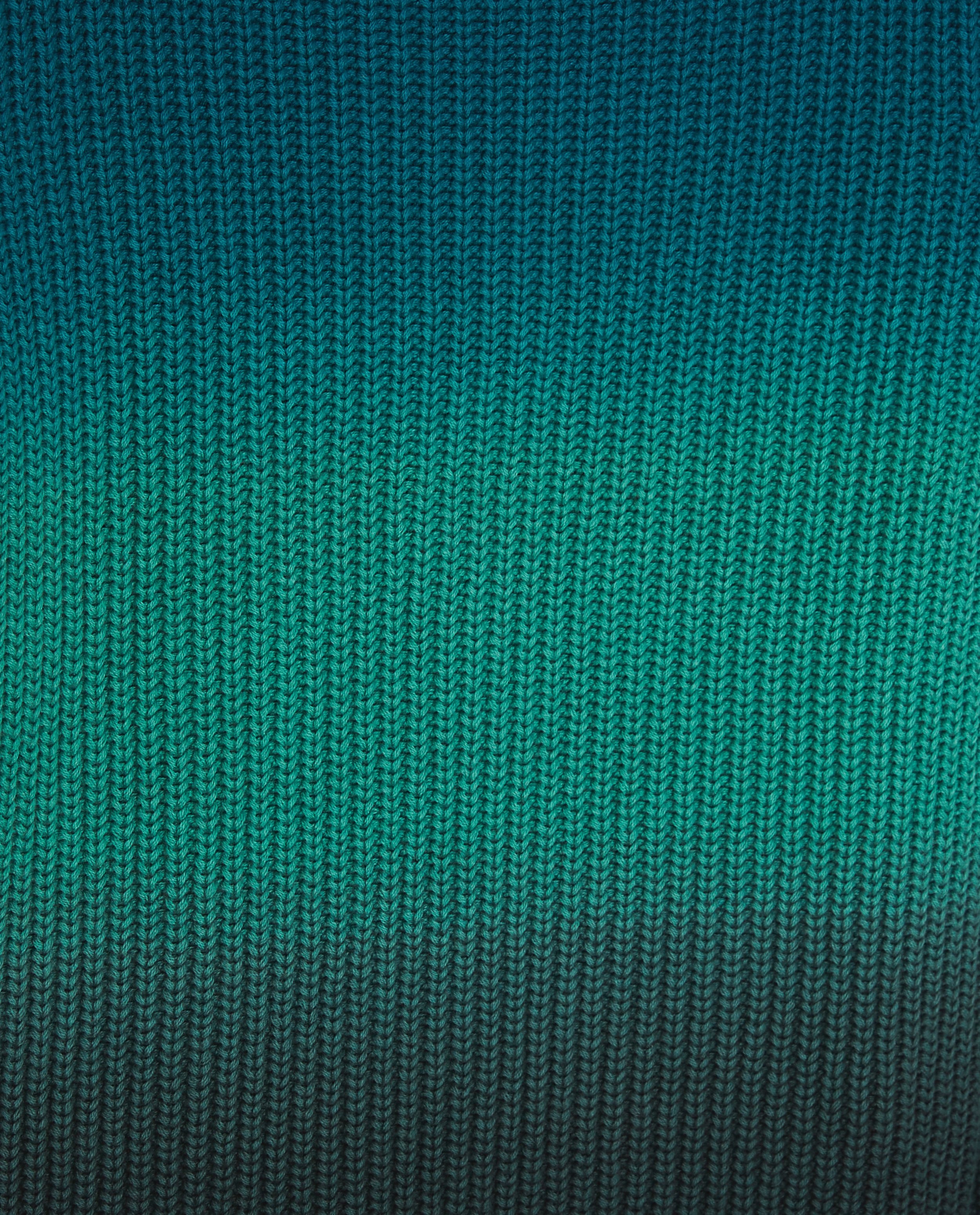 Pulls - Pull vert avec un dégradé