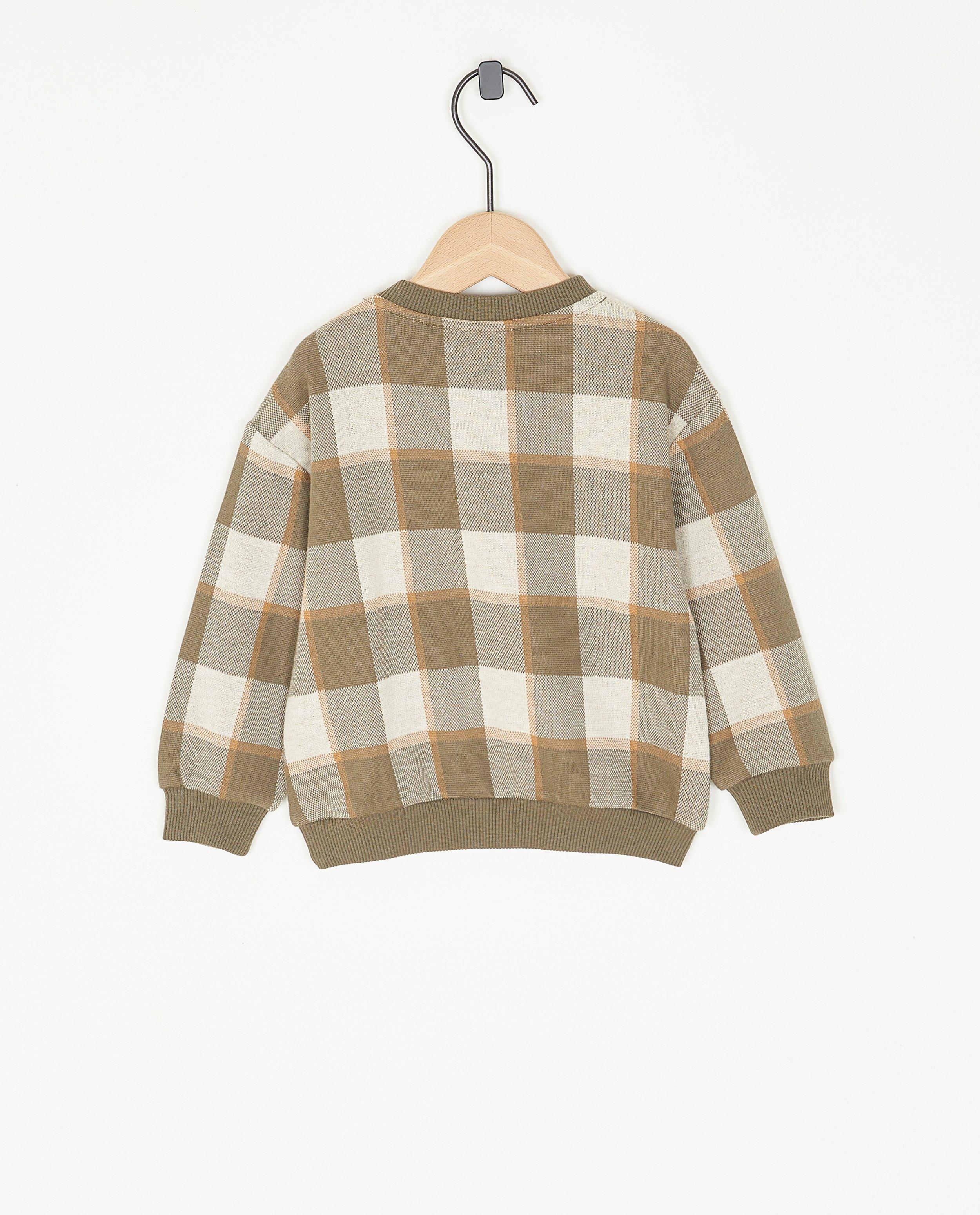 Sweaters - Sweater met ruiten