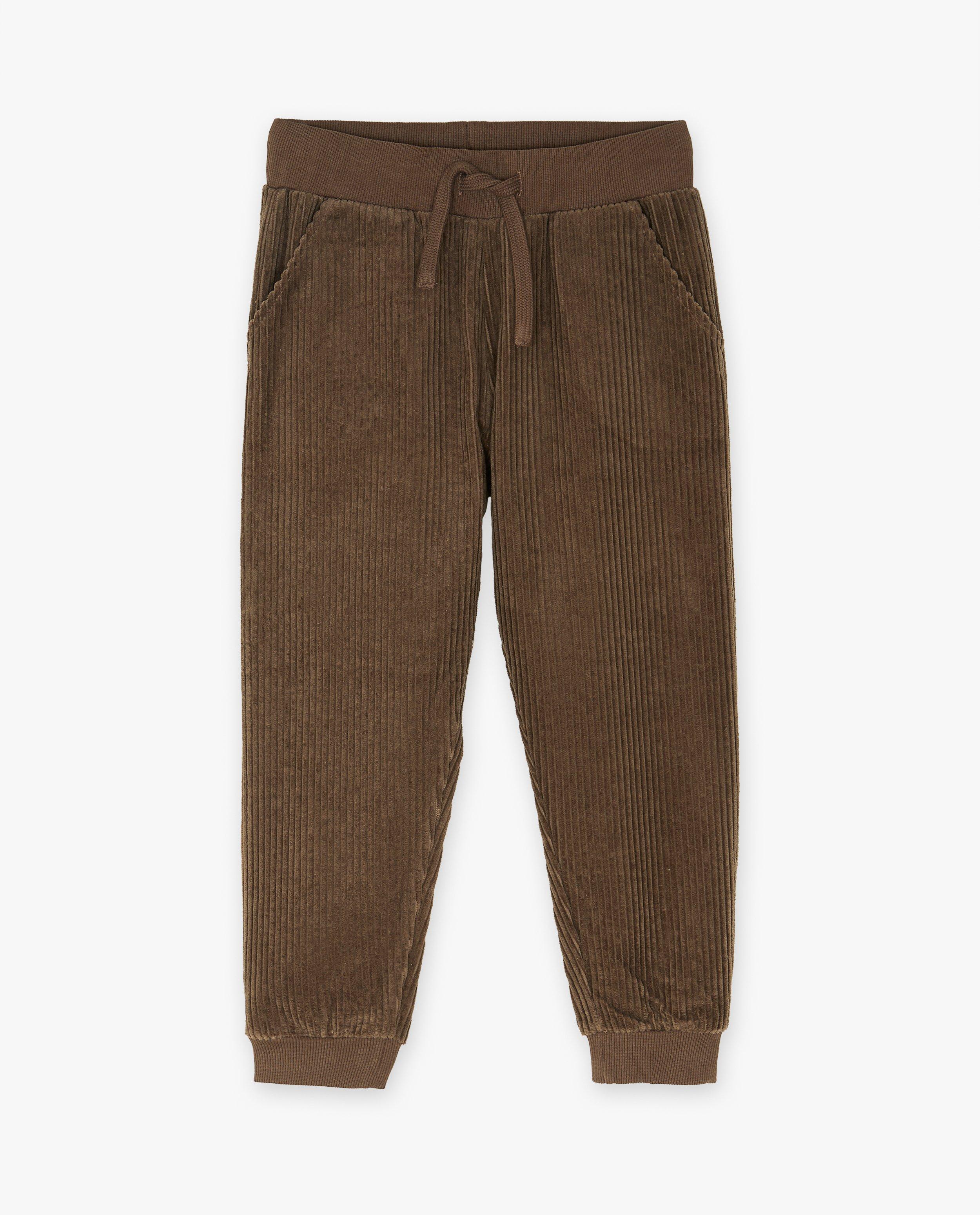 Broek van ribfluweel - Product Detail - donkerbruin - afbeelding nummer 1
