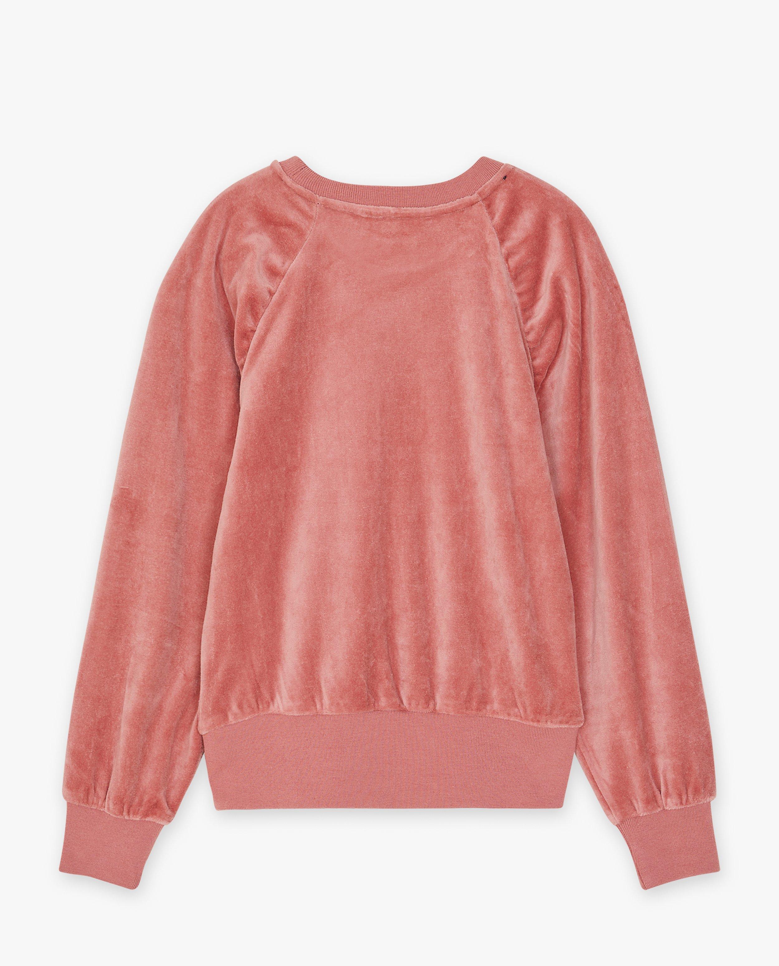 Sweaters - Roze sweater van fluweel
