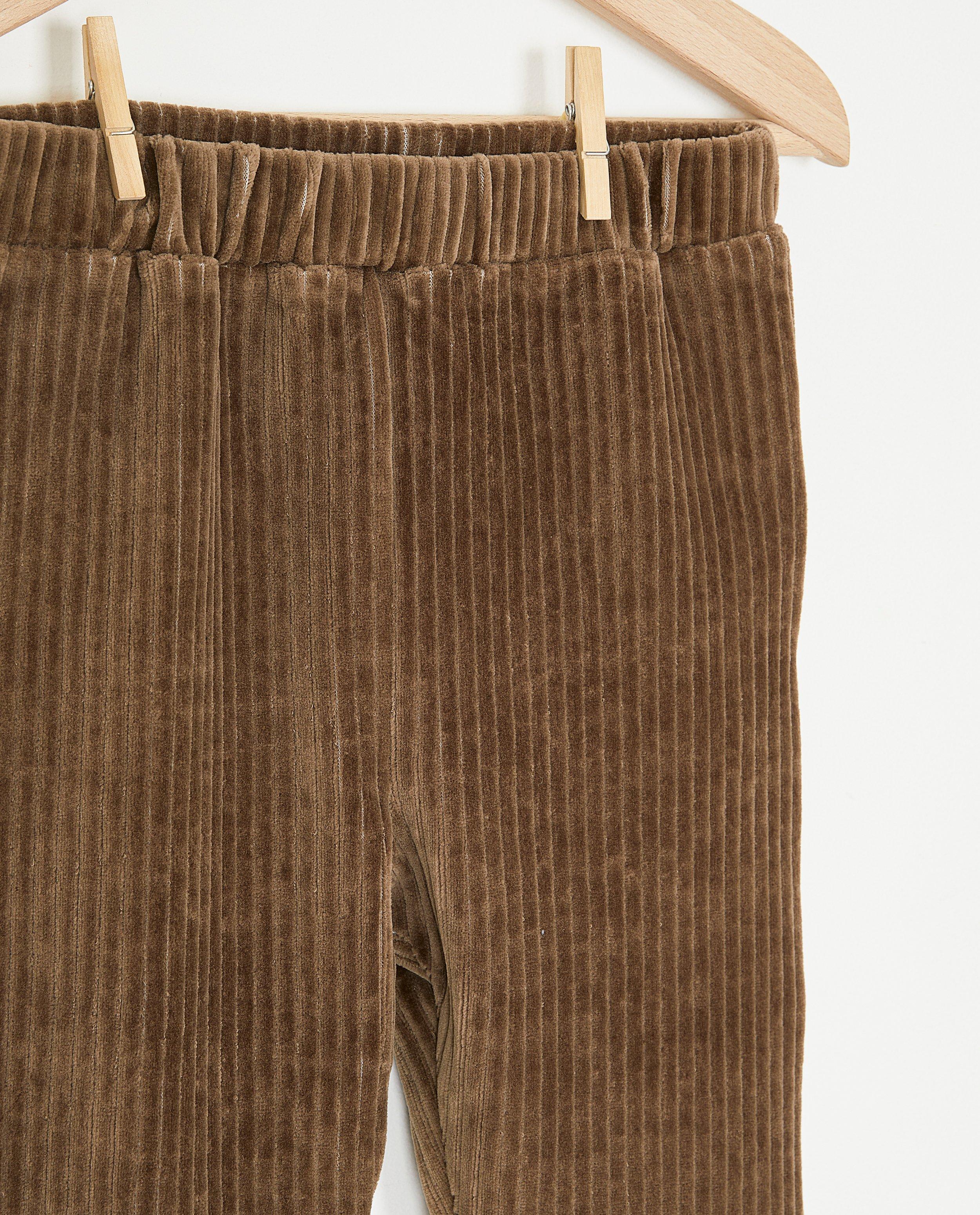 Pantalon brun en velours c&ocirc;tel&eacute; - D&eacute;tails du produit - brun clair - image num&eacute;ro 3