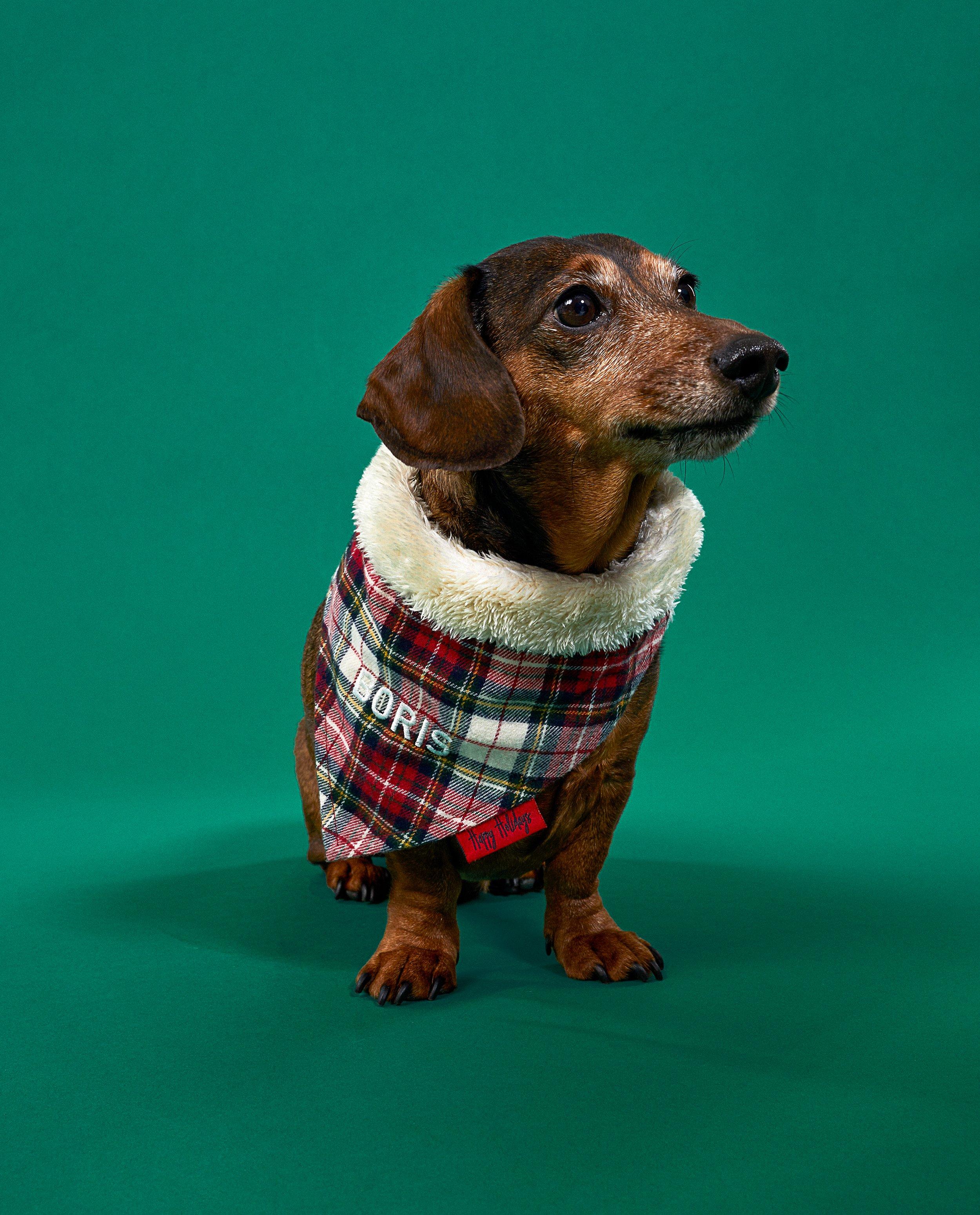 Personaliseerbaar dierensjaaltje - null - Studio Unique