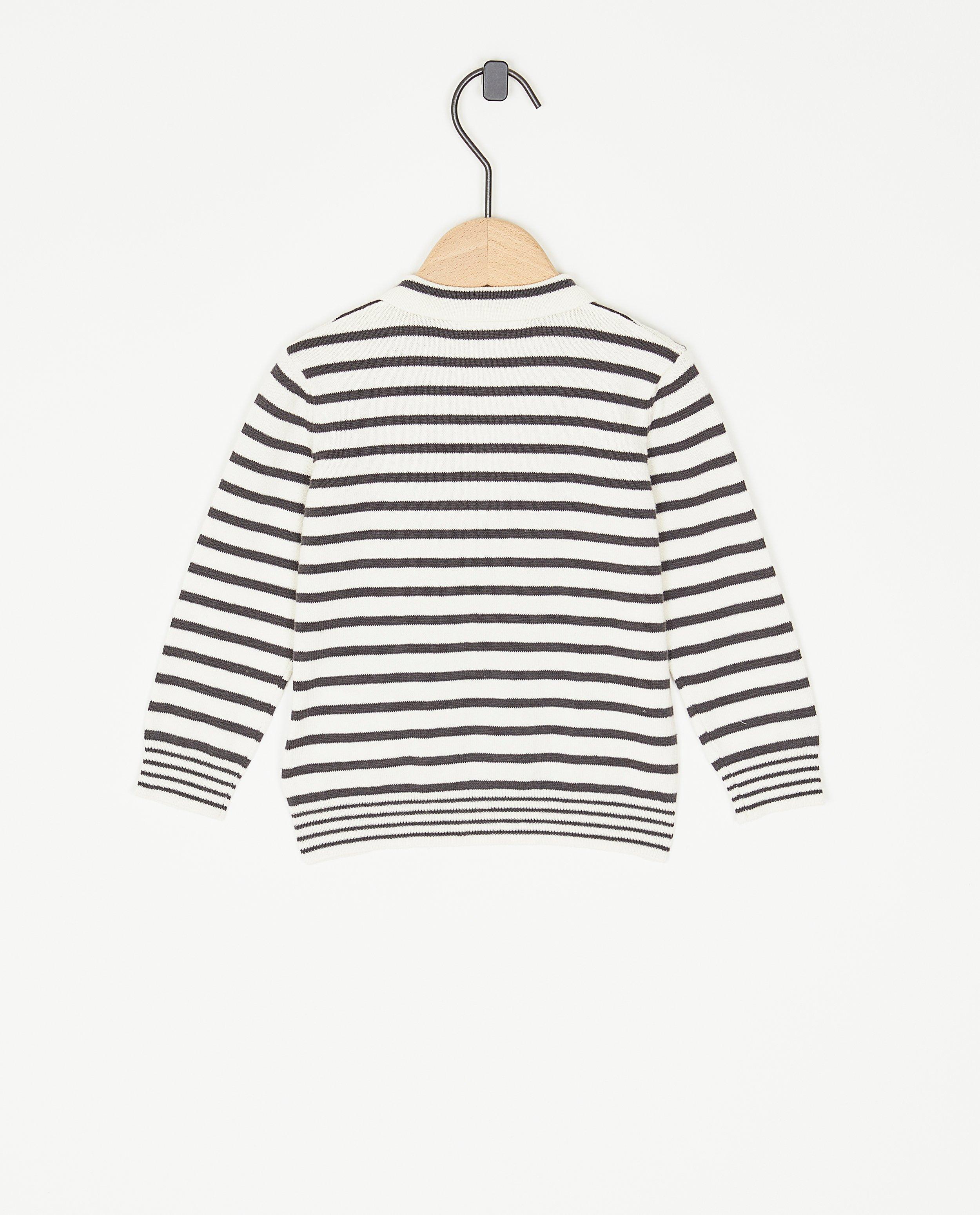 Pulls - Pull rayé avec col chemise