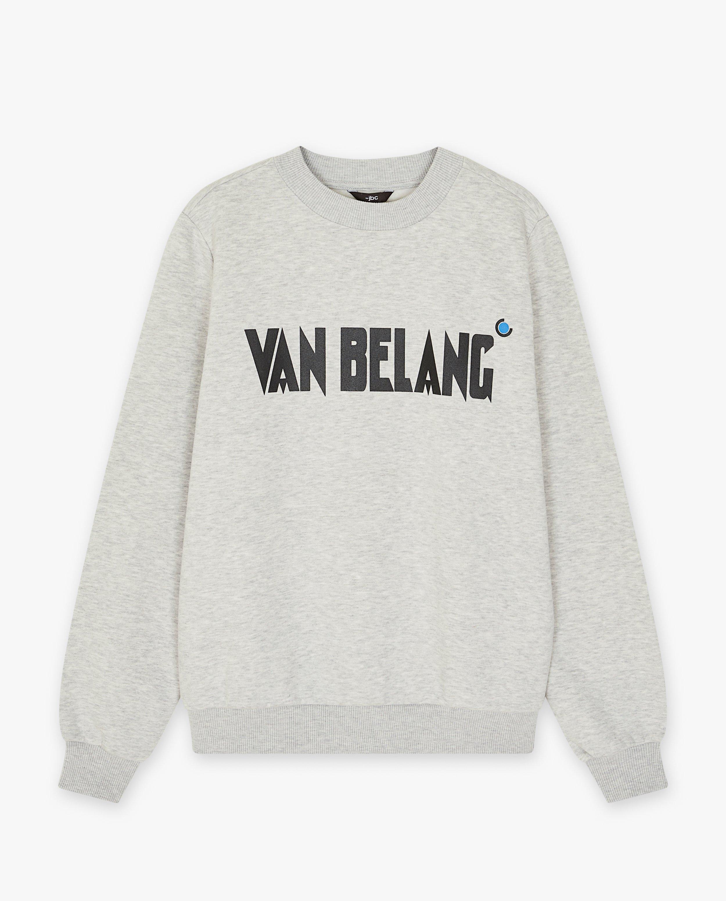 Grijze sweater HBVL, dames - null - JBC
