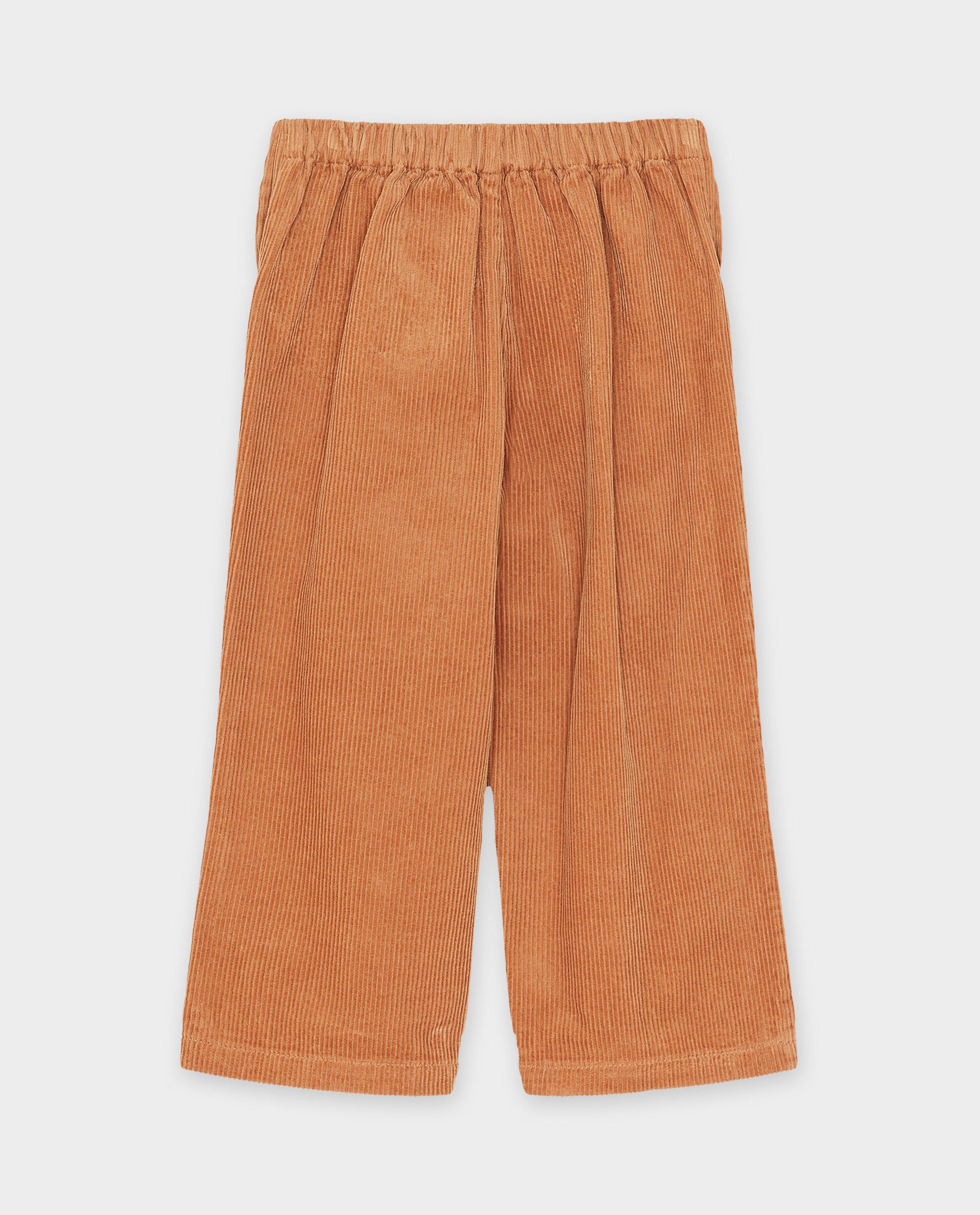 Broeken - Bruine broek van ribfluweel