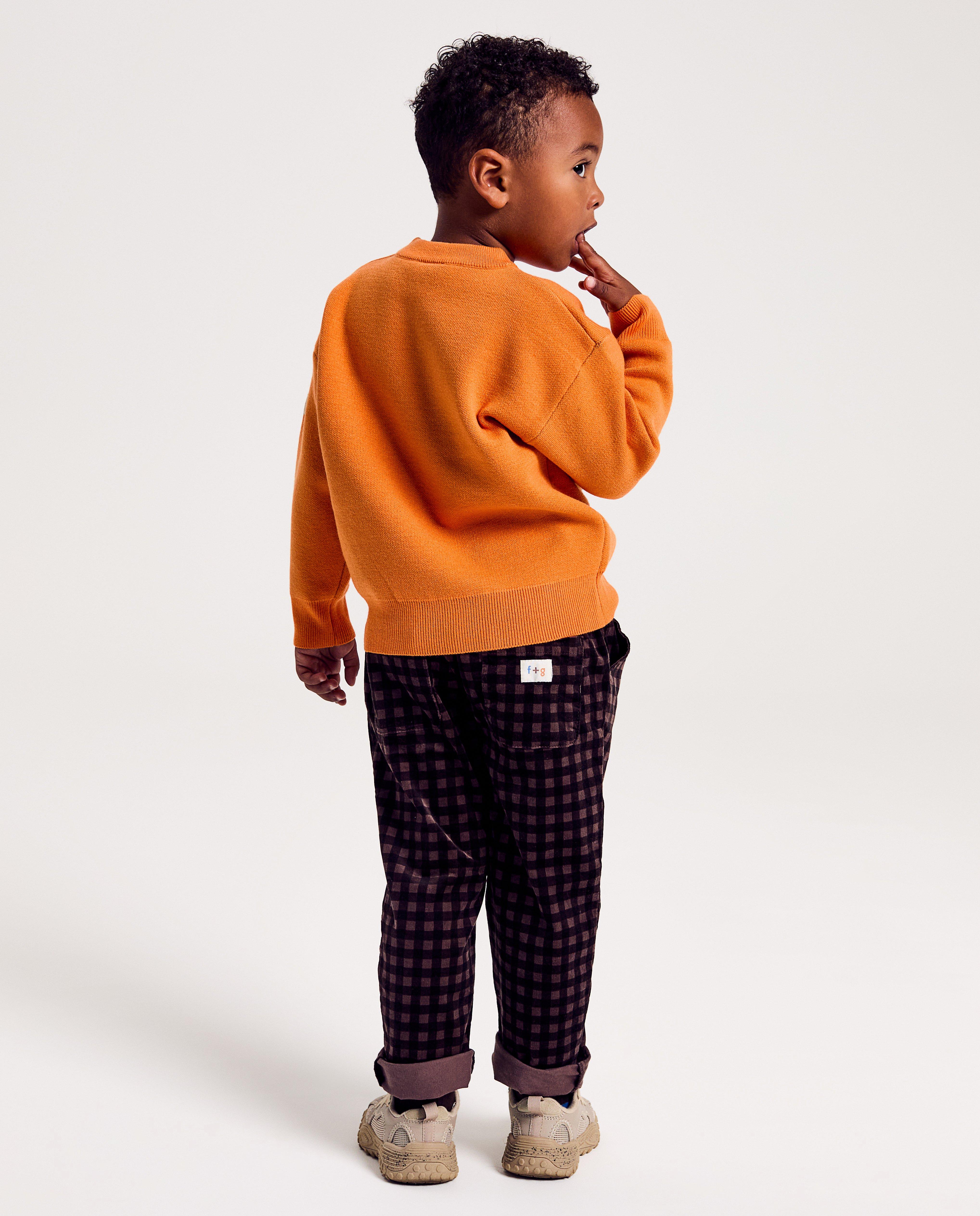 Broeken - Broek met ruiten