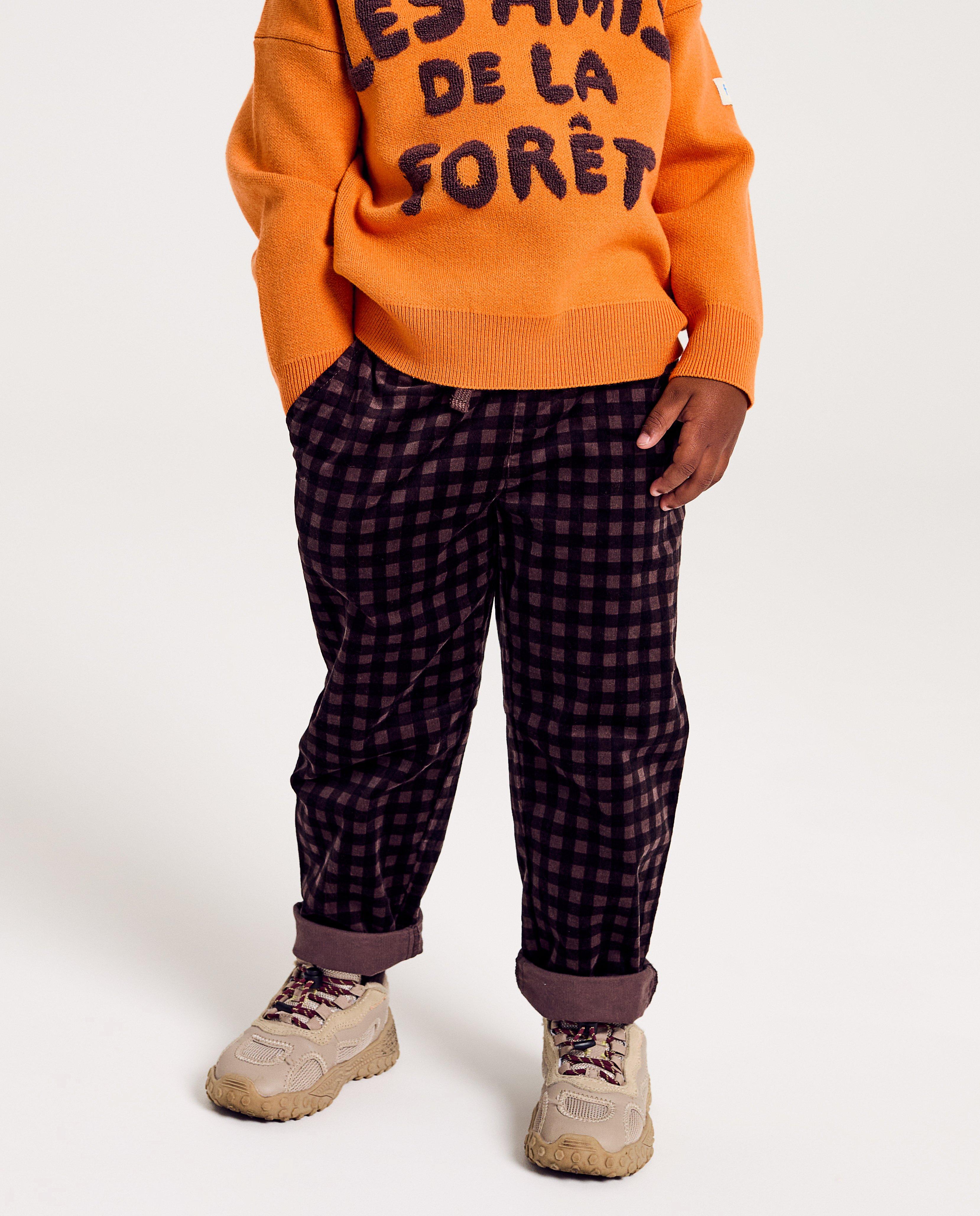 Broeken - Broek met ruiten