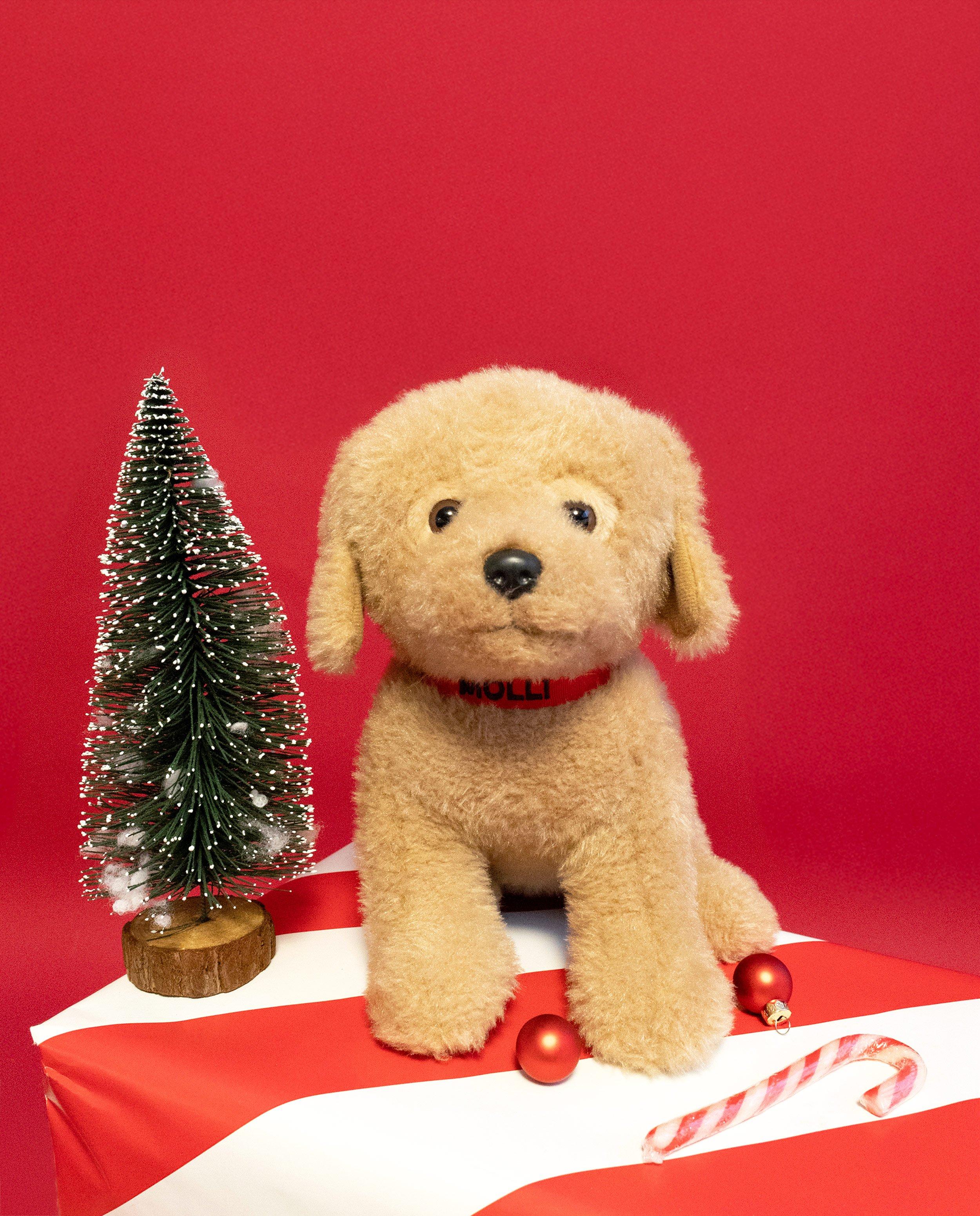 Chien en peluche - null - milo
