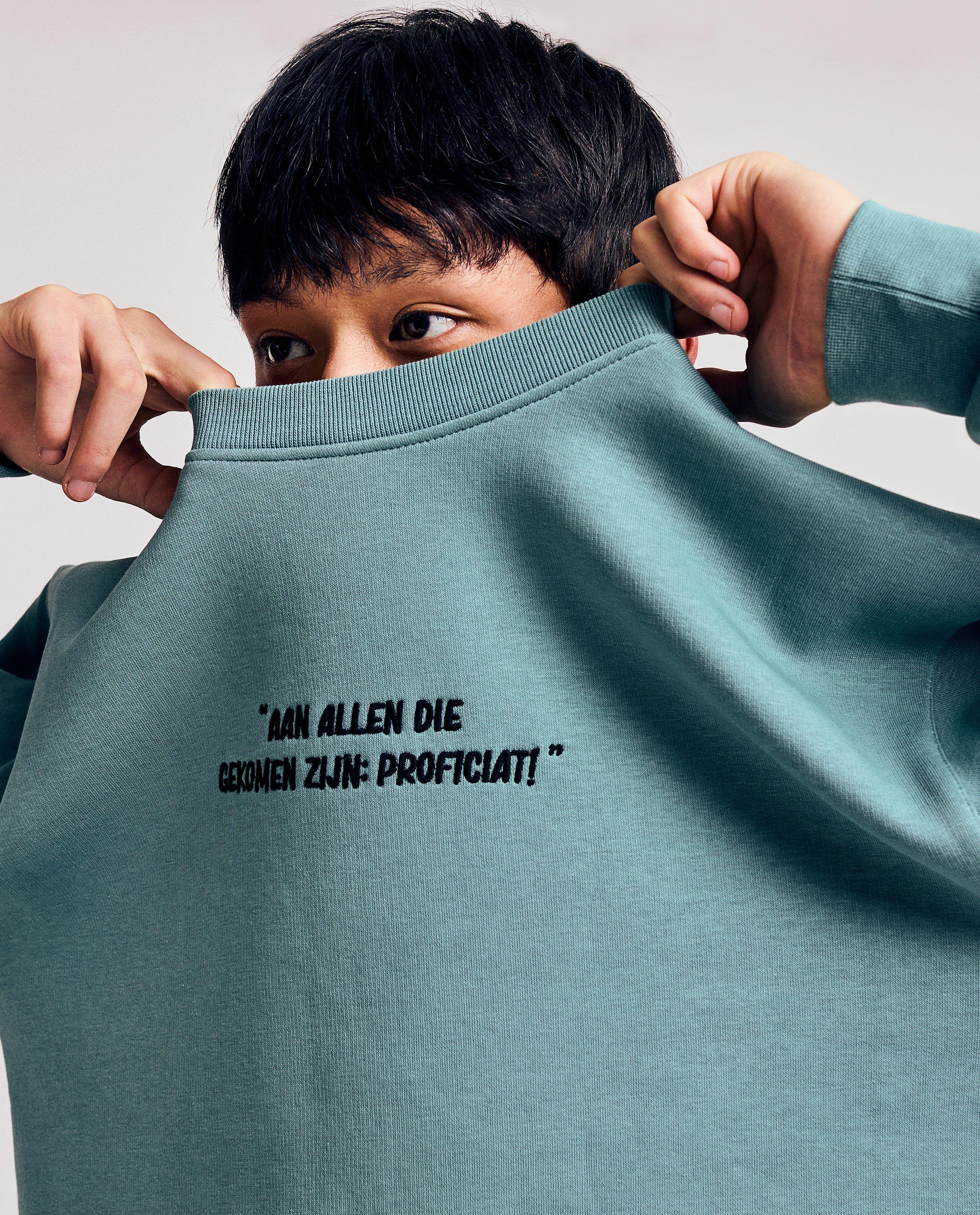 Sweater met geborduurd opschrift SingAlong, unisex - Product Detail - khaki - afbeelding nummer 2