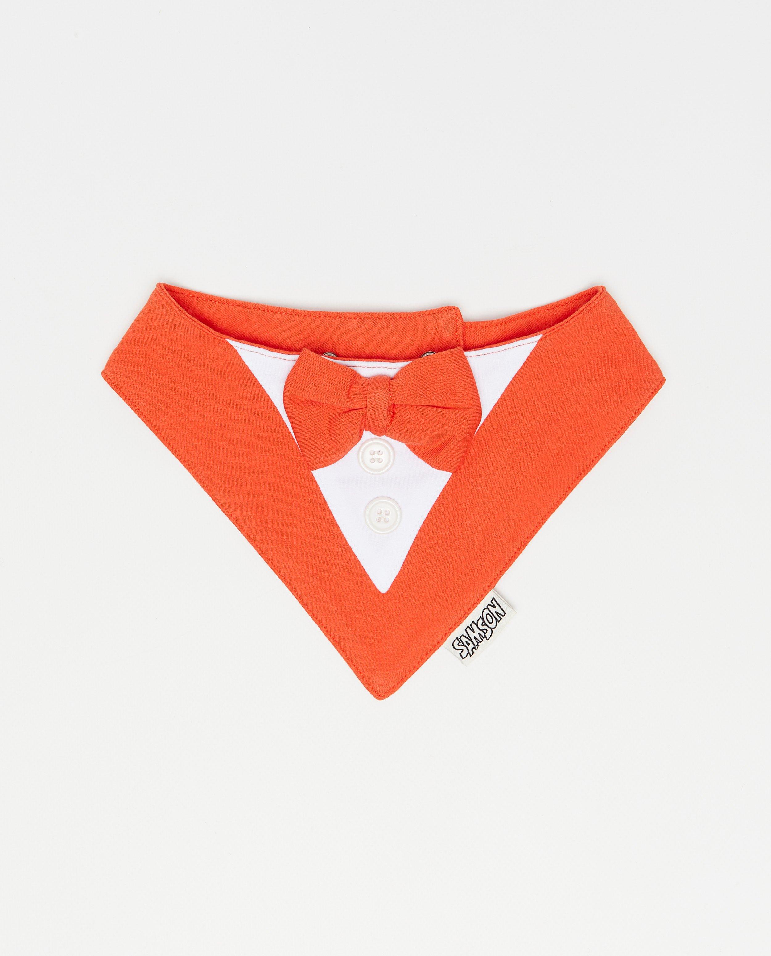 &Eacute;charpe pour chien avec n&oelig;ud - D&eacute;tails du produit - rouge - image num&eacute;ro 3
