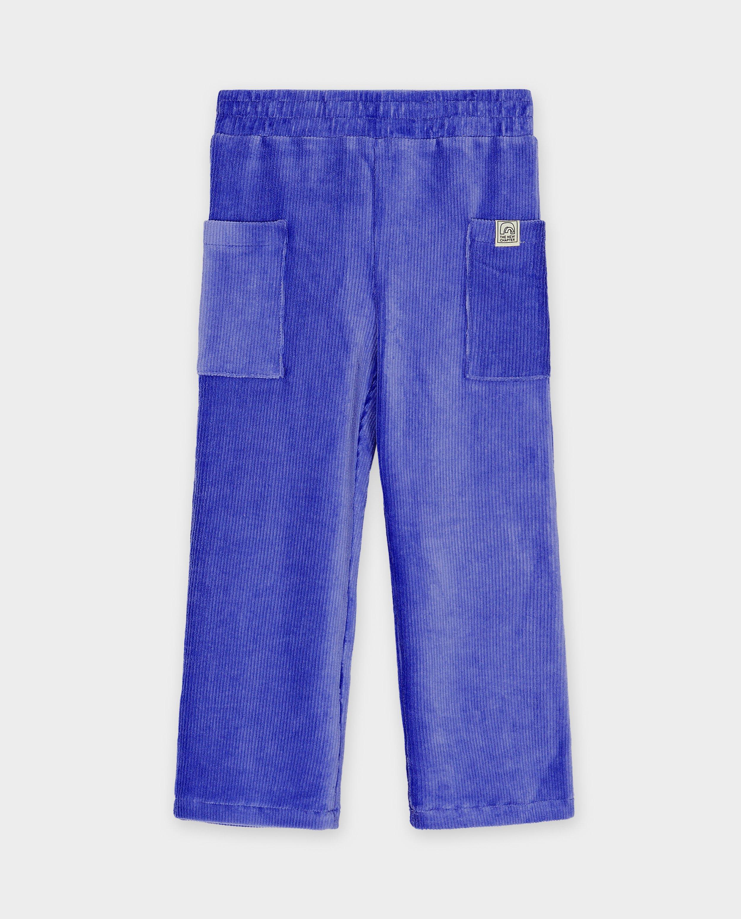 Pantalons - Pantalon mauve en velours côtelé