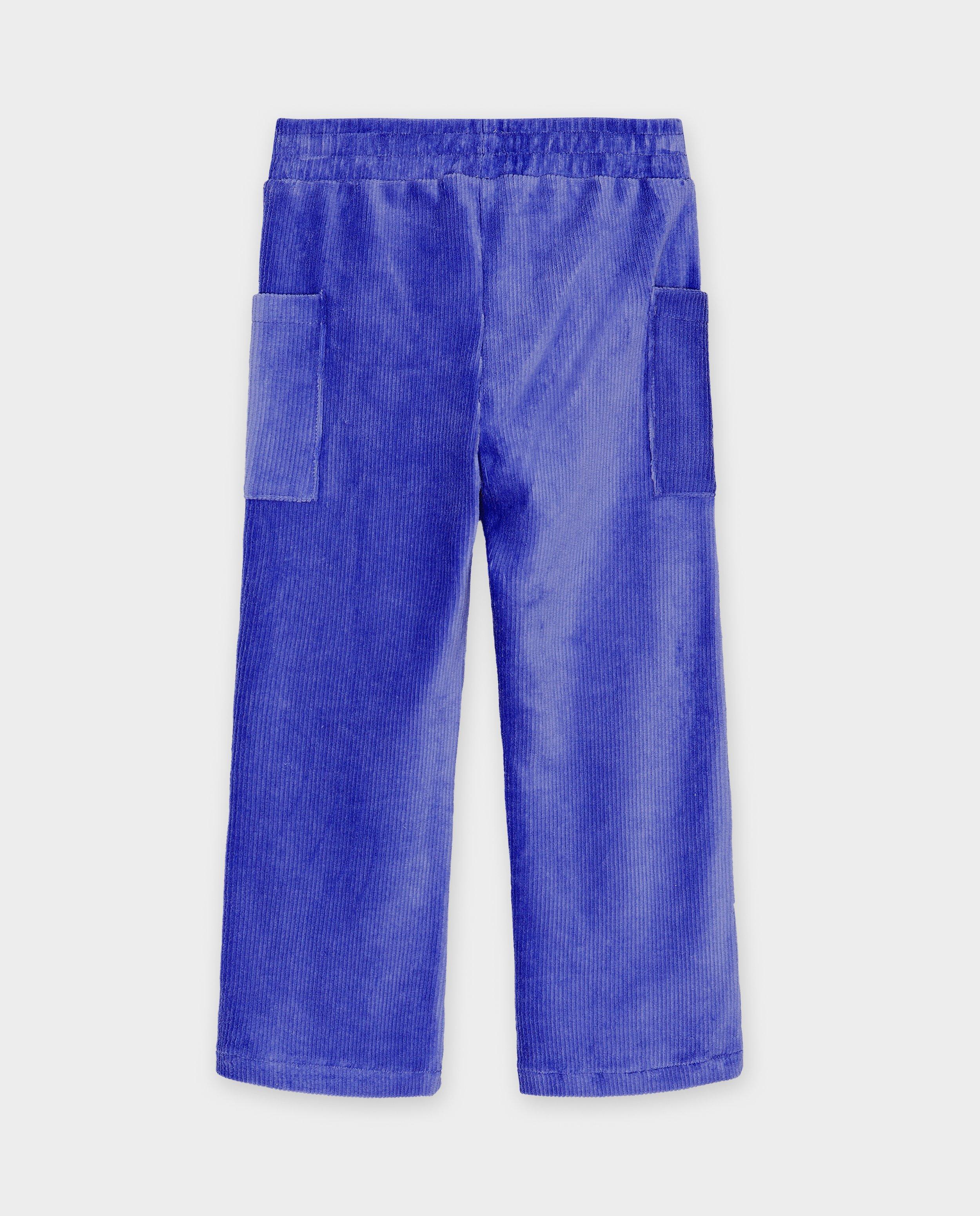 Pantalons - Pantalon mauve en velours côtelé
