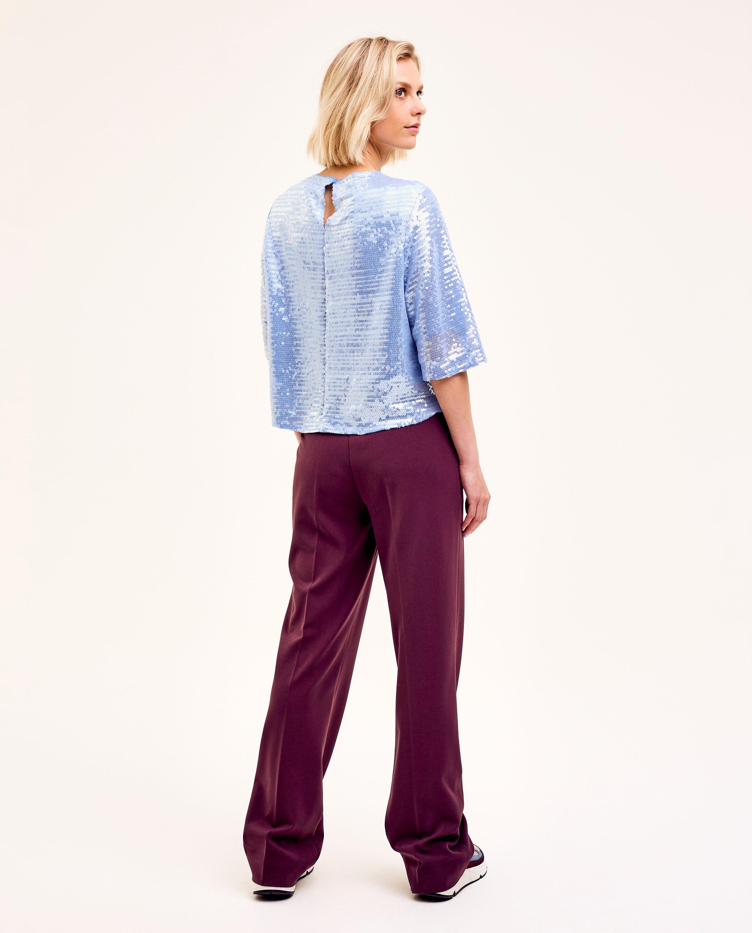 Hemden - Lichtblauwe blouse met pailletjes