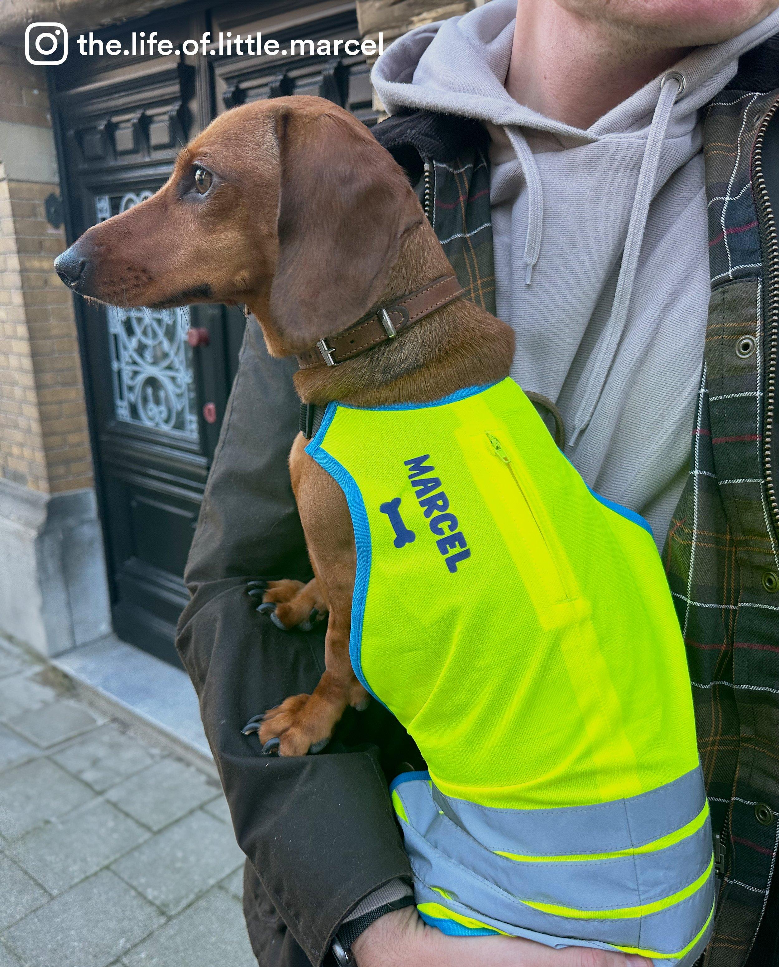 Personaliseerbaar fluohesje, honden - null - Studio Unique