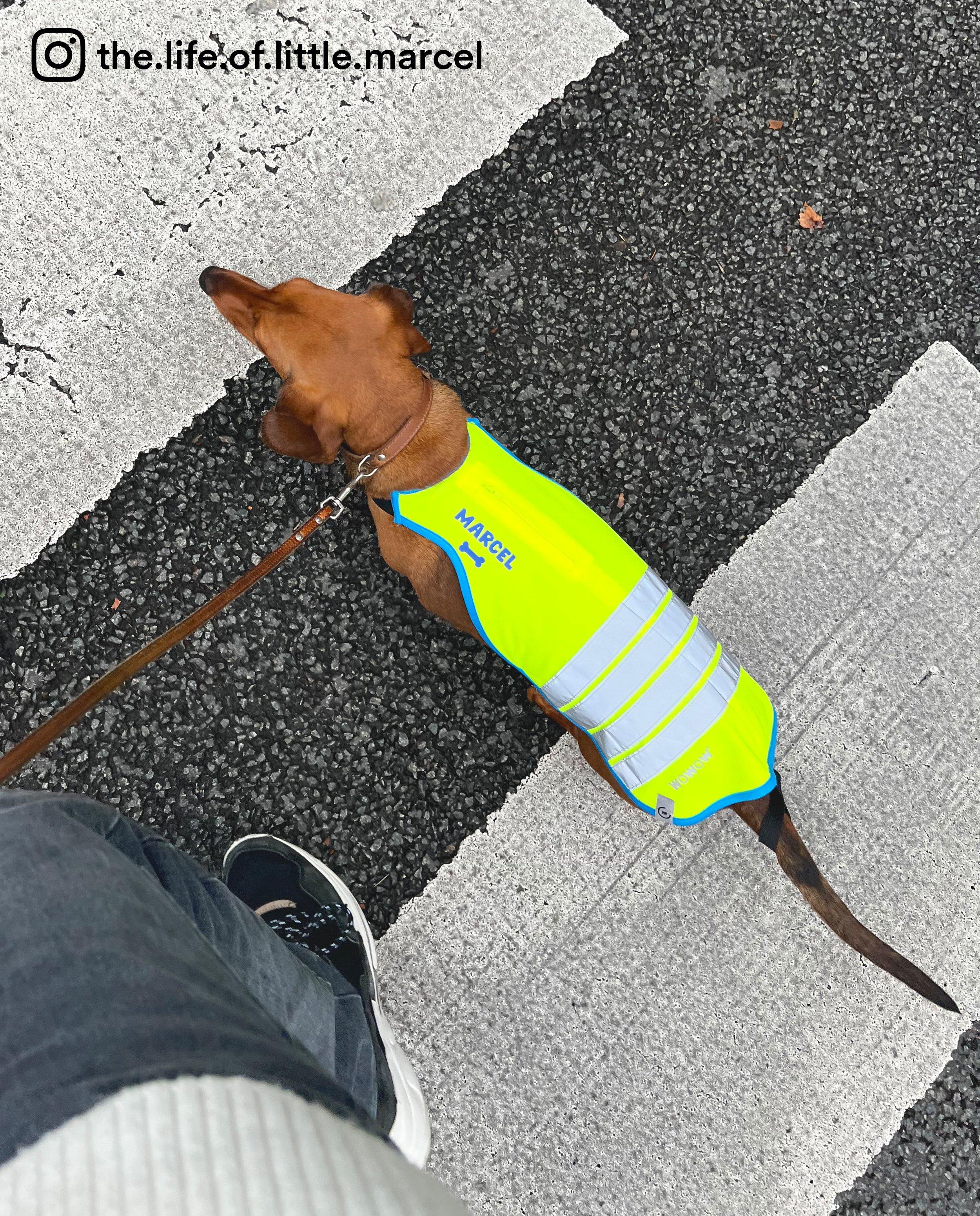 Cardigan - Personaliseerbaar fluohesje, honden