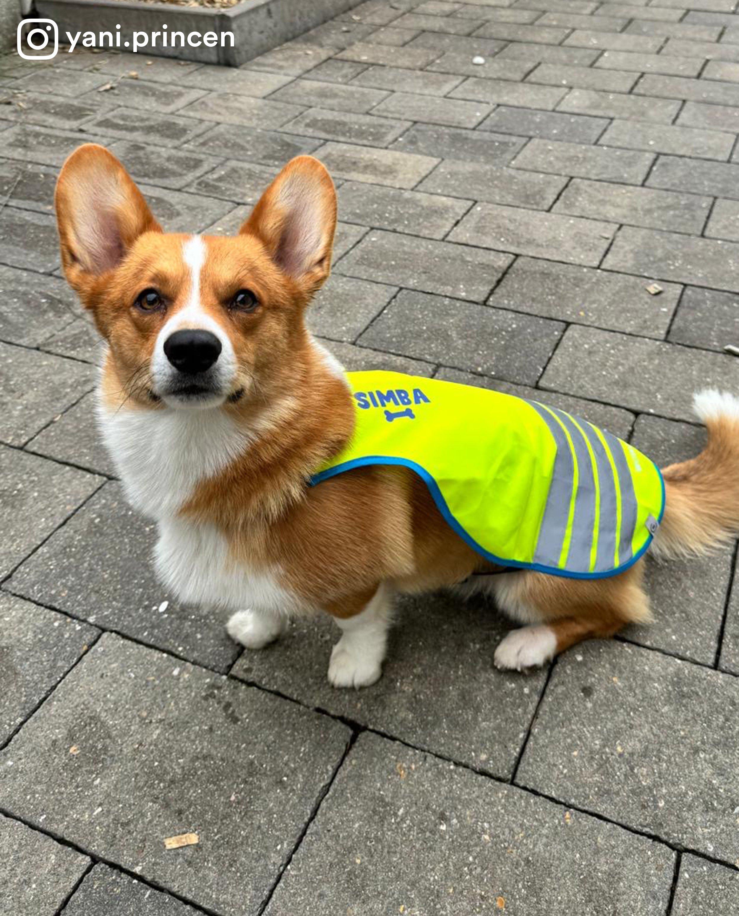 Cardigan - Personaliseerbaar fluohesje, honden