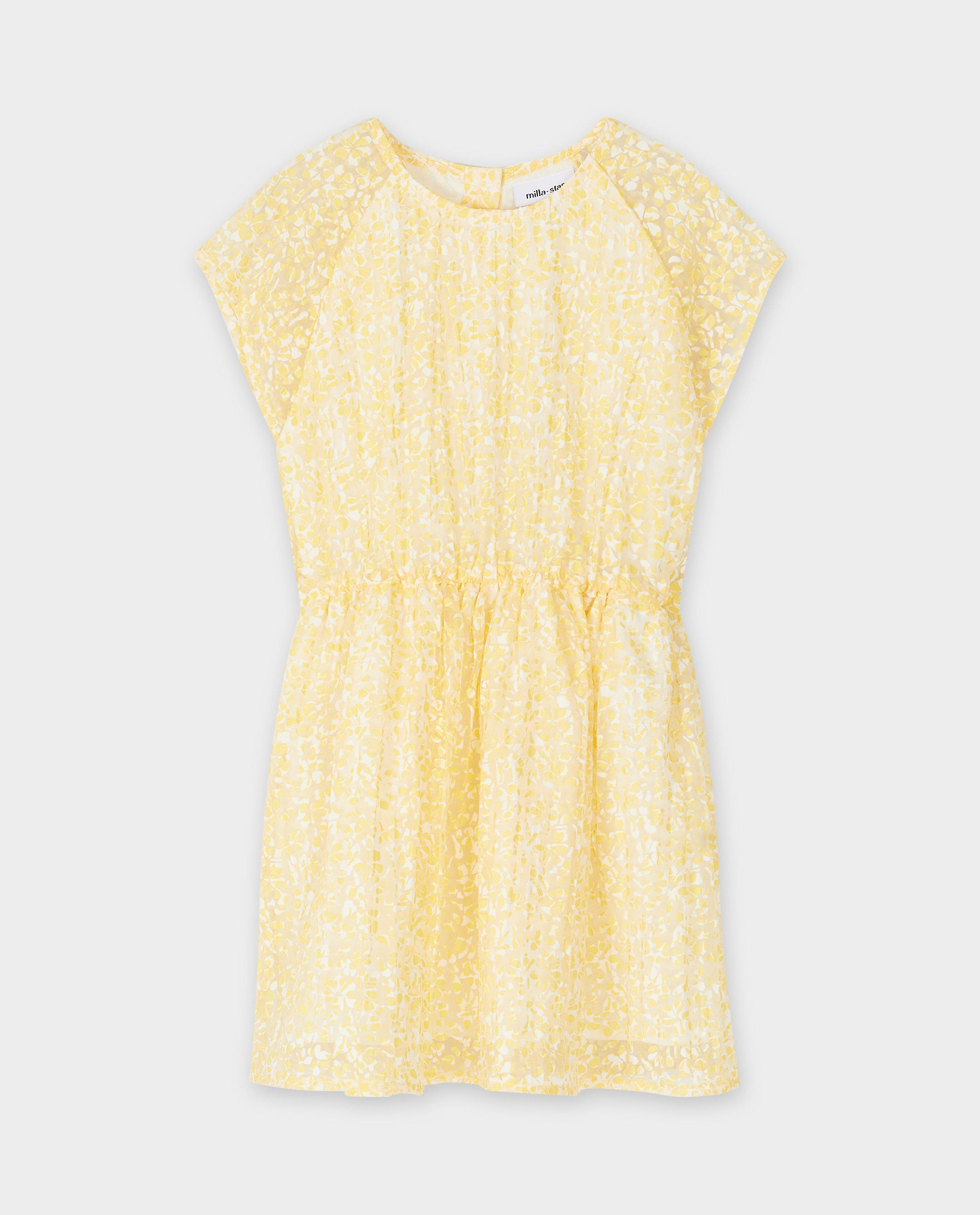 Kleedjes - Mesh jurk met print