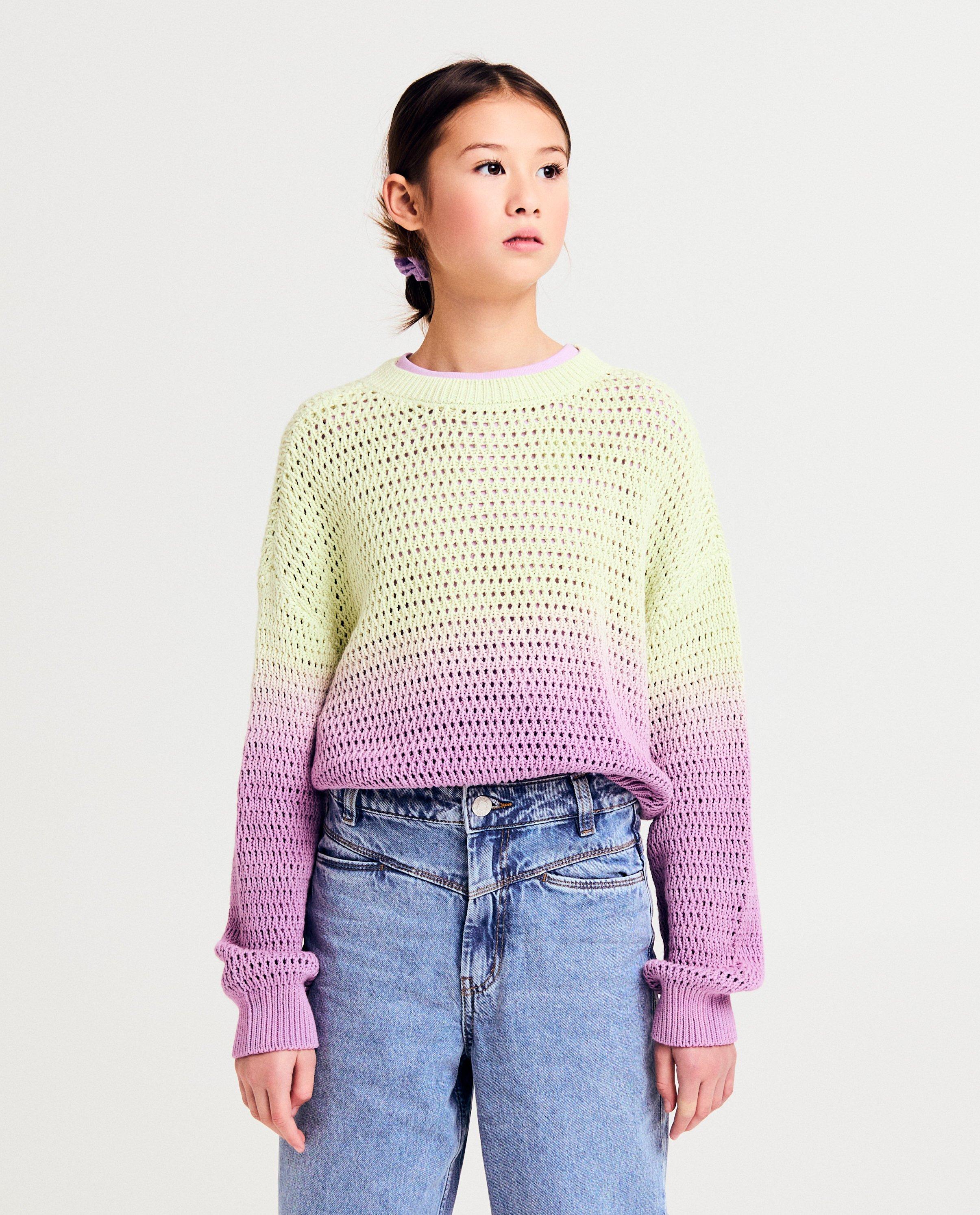 Trui met gradient - null - Fish & Chips