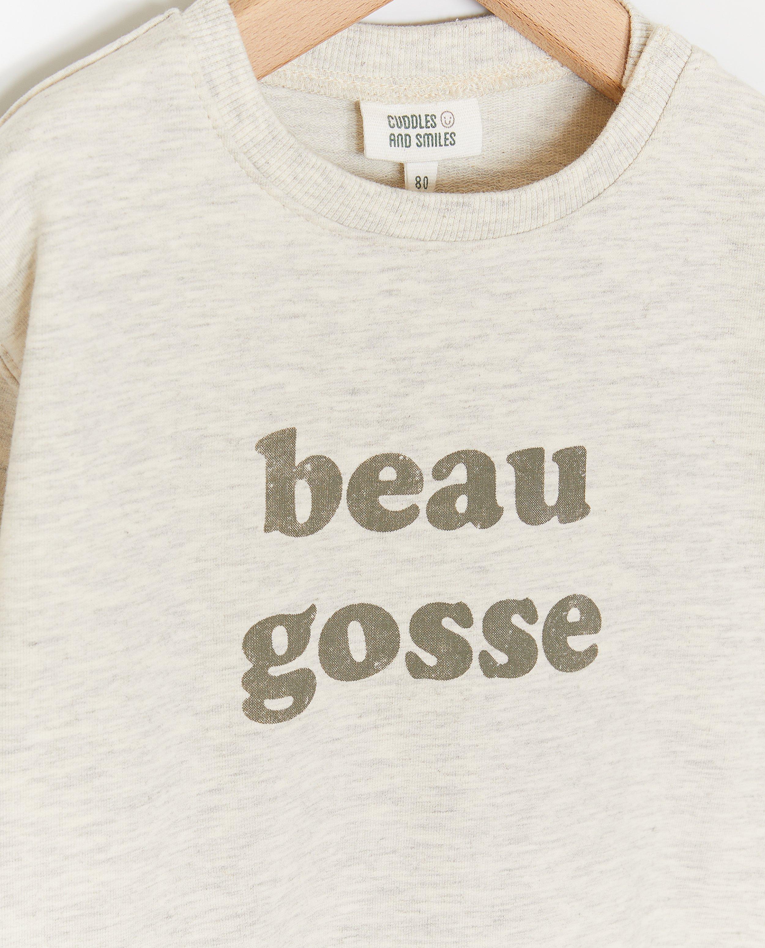 Sweaters - Grijze sweater, Beau gosse