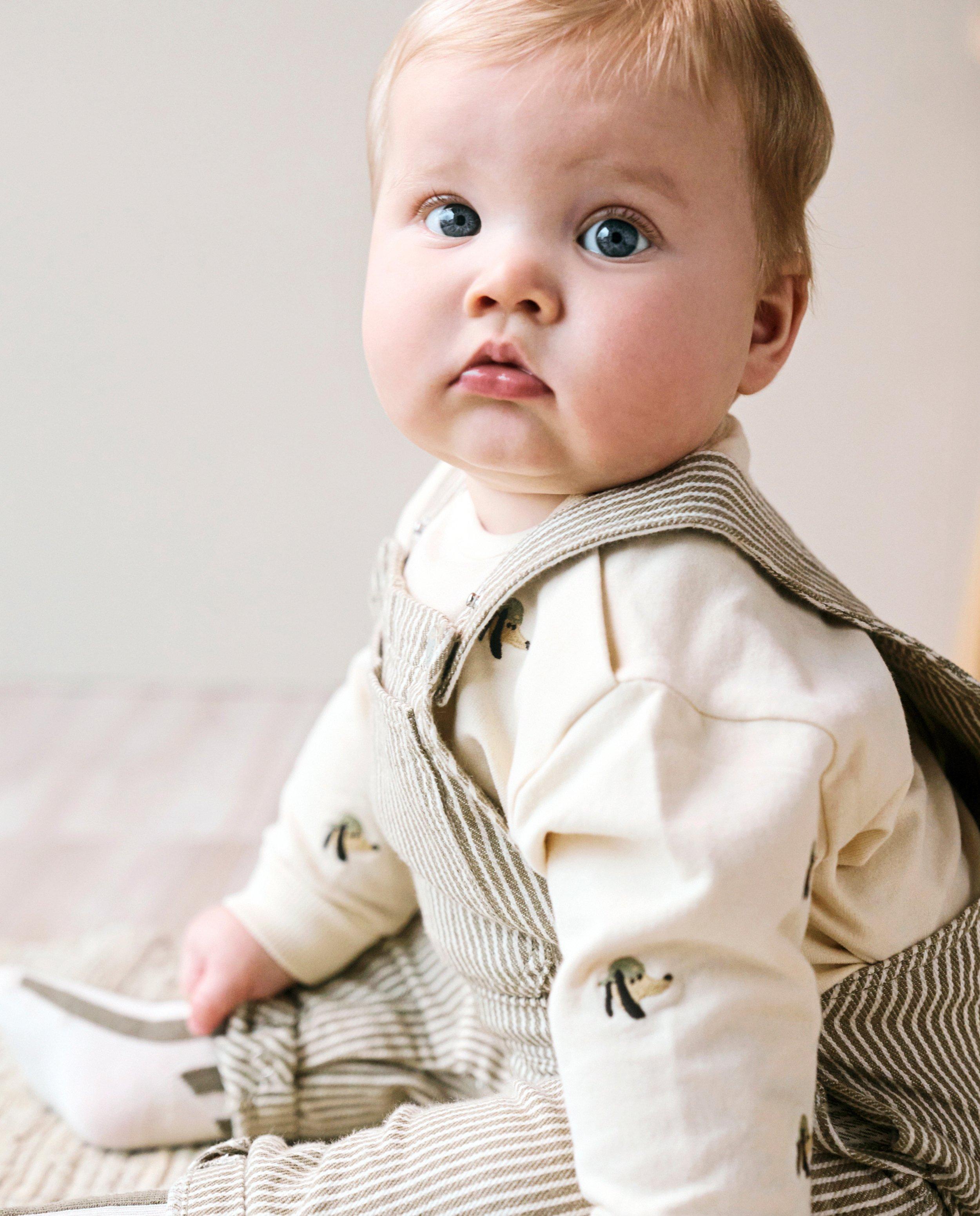 Sweater met geborduurde hondjes - null - Cuddles and Smiles