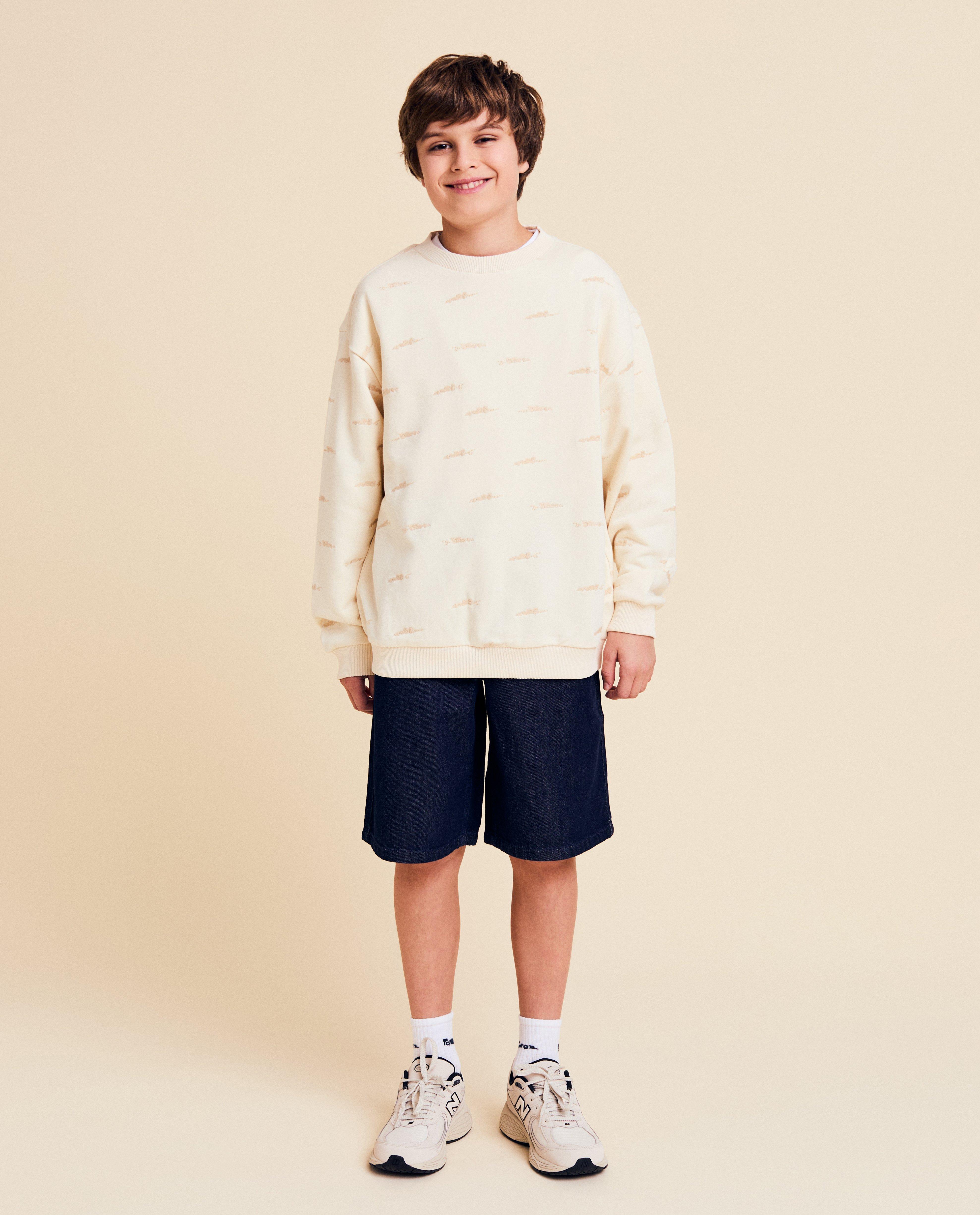 Sweaters - Sweater met geborduurde racewagens