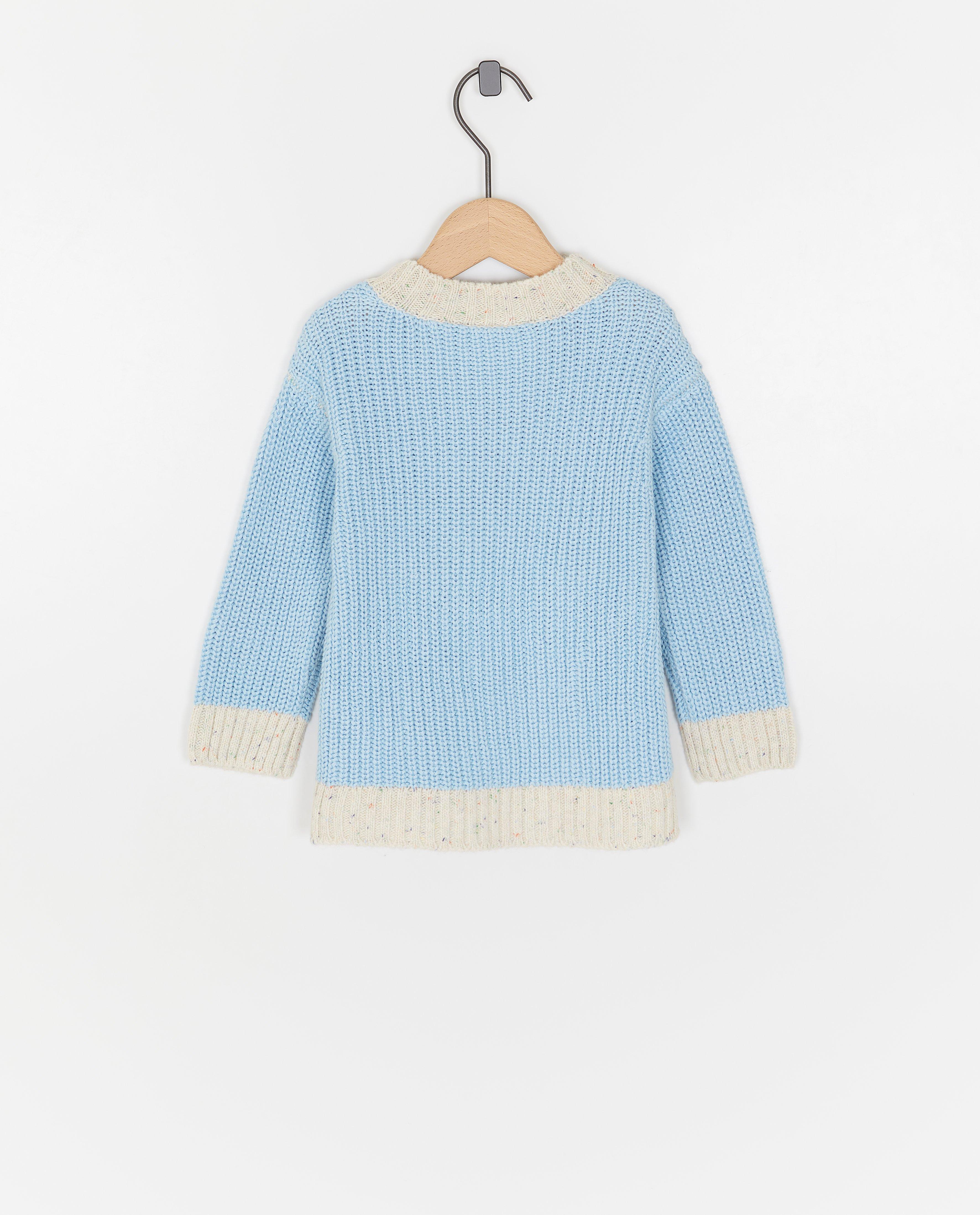 Truien - Trui met color block