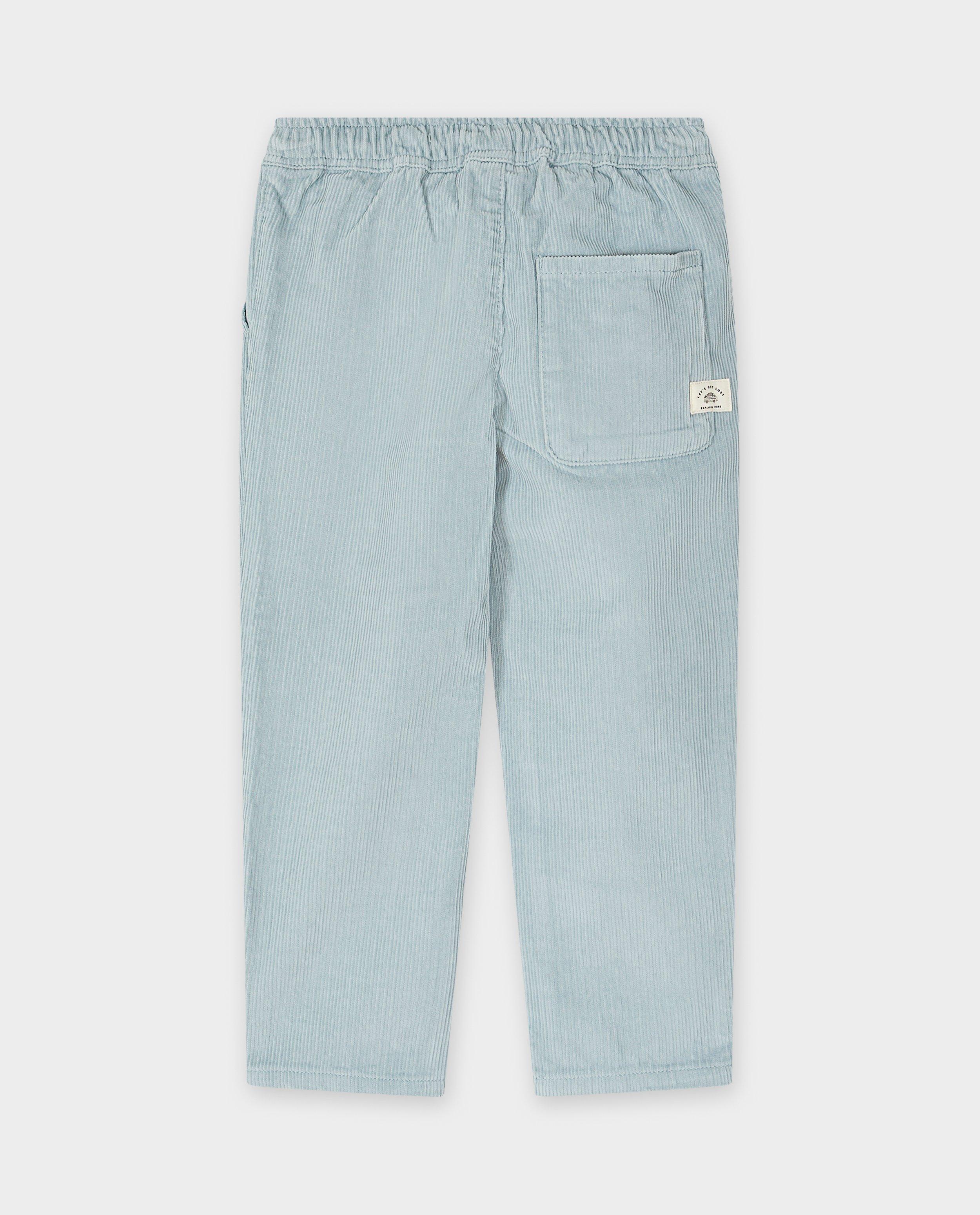 Broeken - Broek van ribfluweel