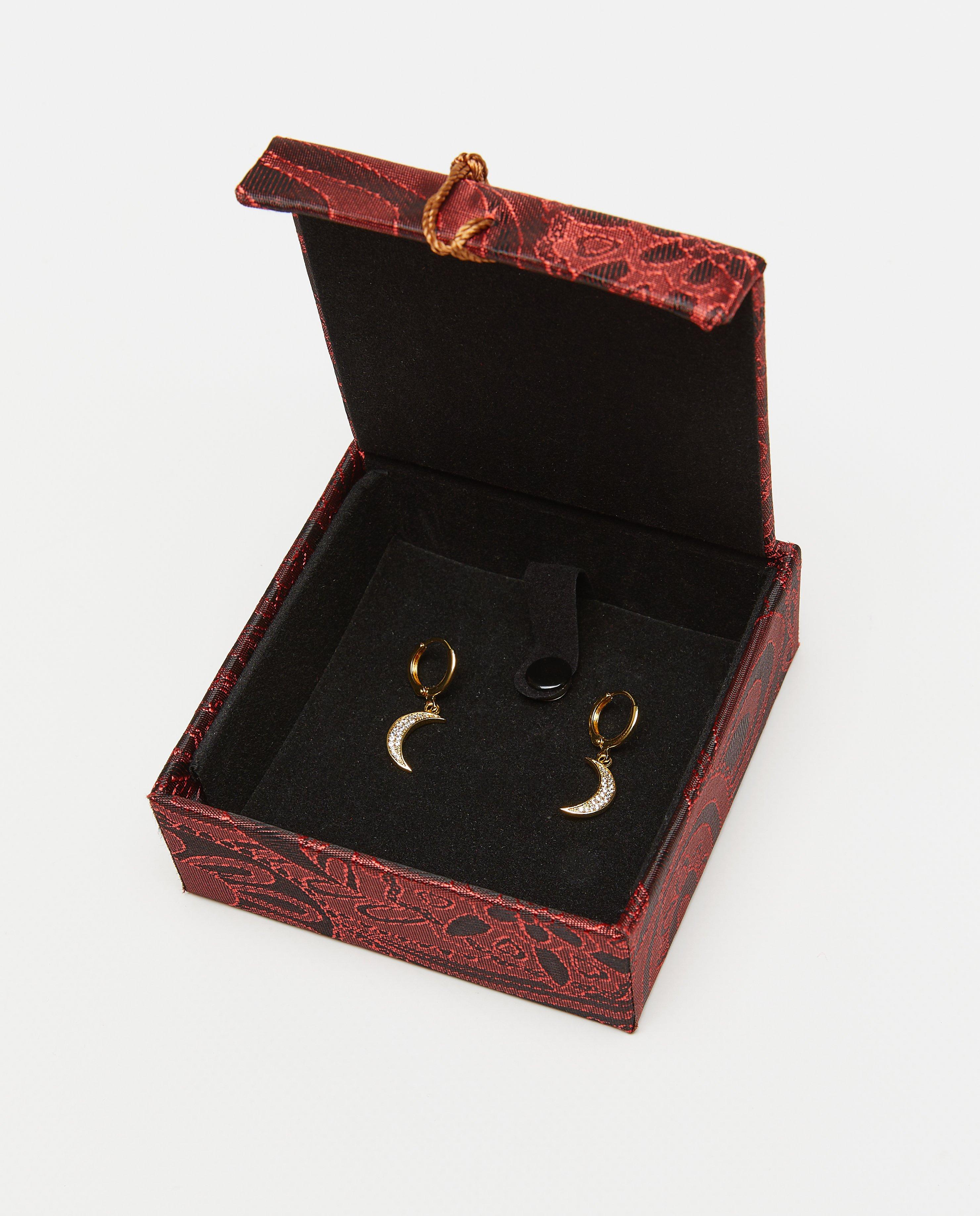 Juwelen - Oorbellen met goudlaag