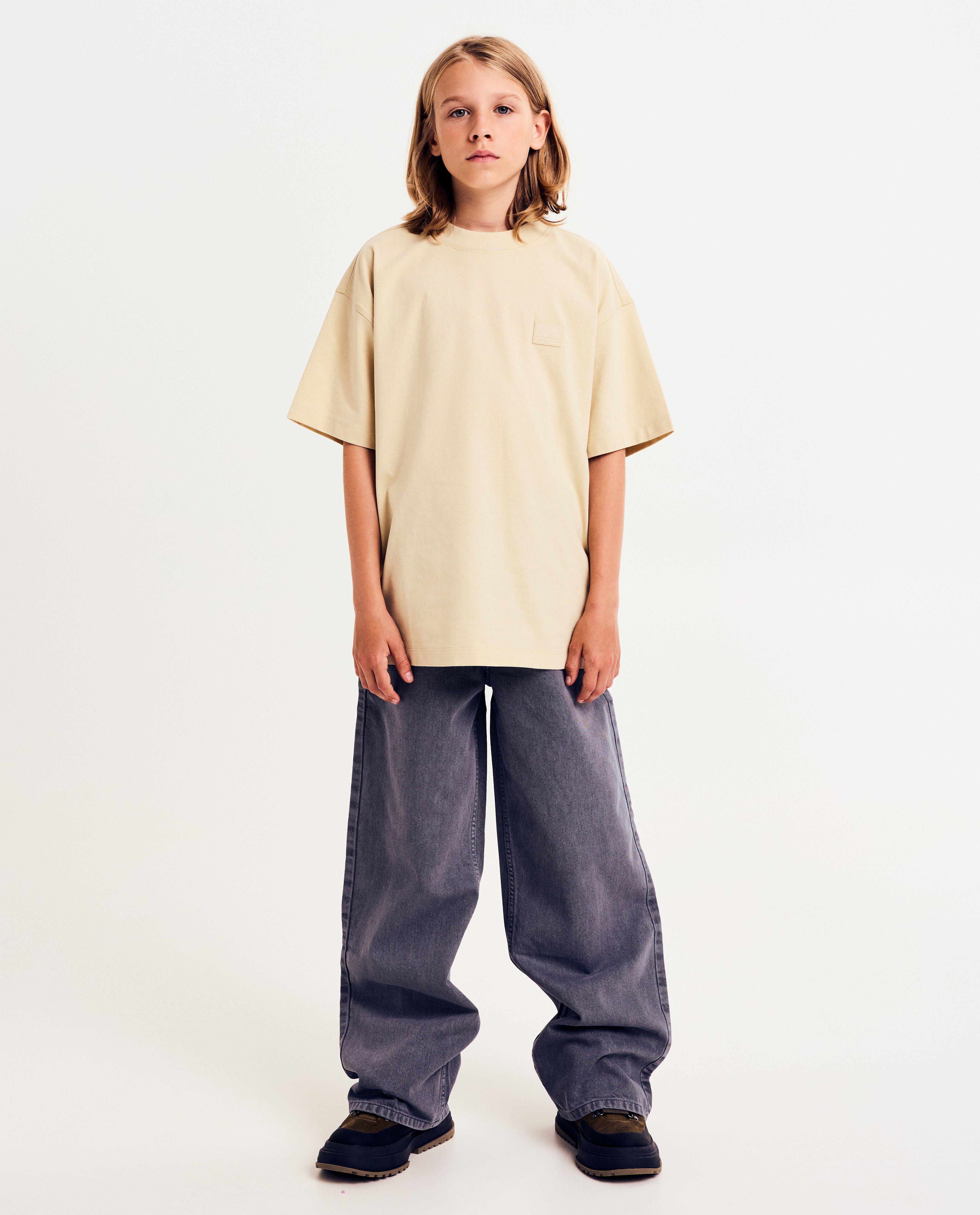 Grijze jeans, skater fit - null - Fish & Chips