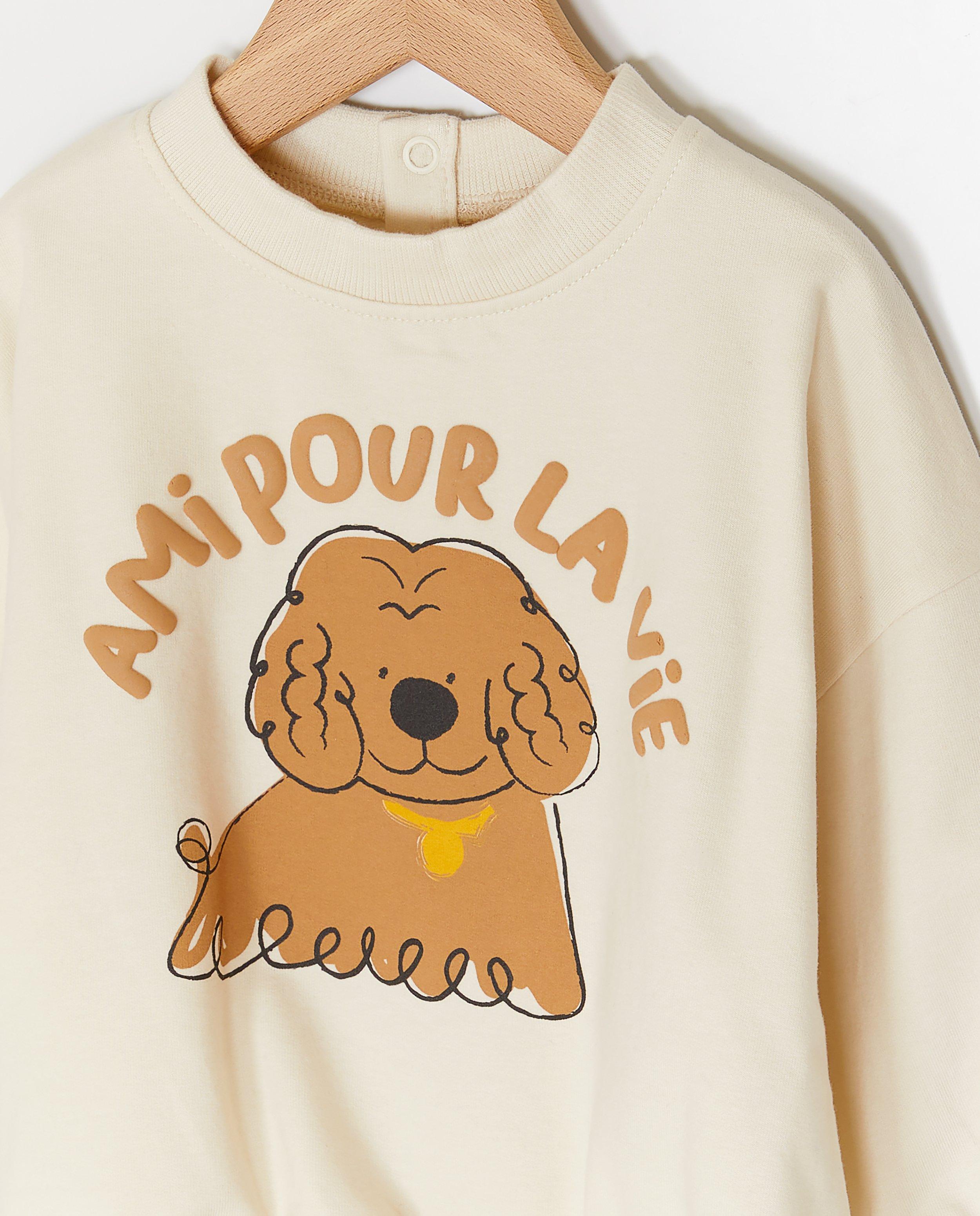 Sweaters - Sweater met vliegtuigprint, loose fit