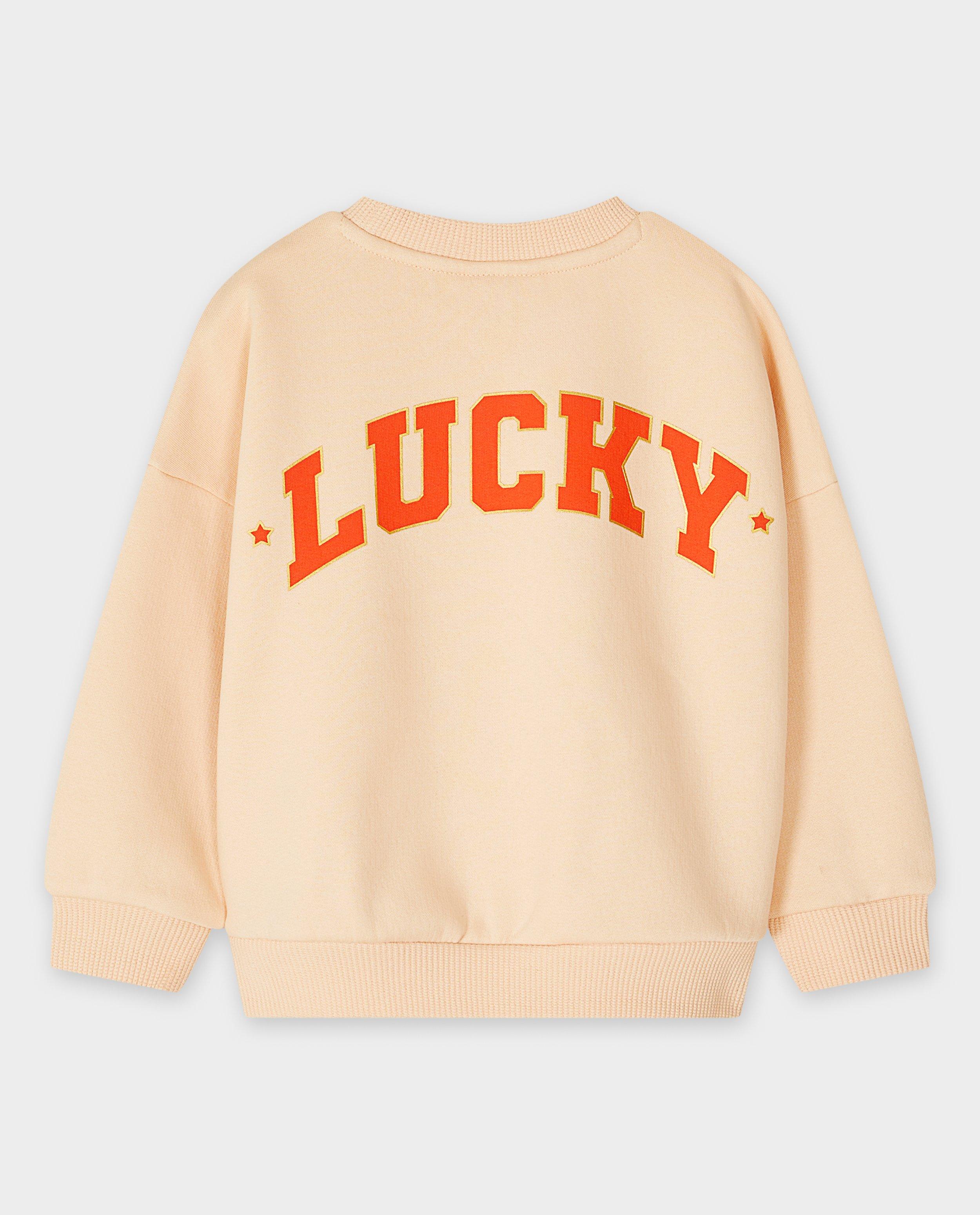 Sweaters - Sweater met backprint, loose fit