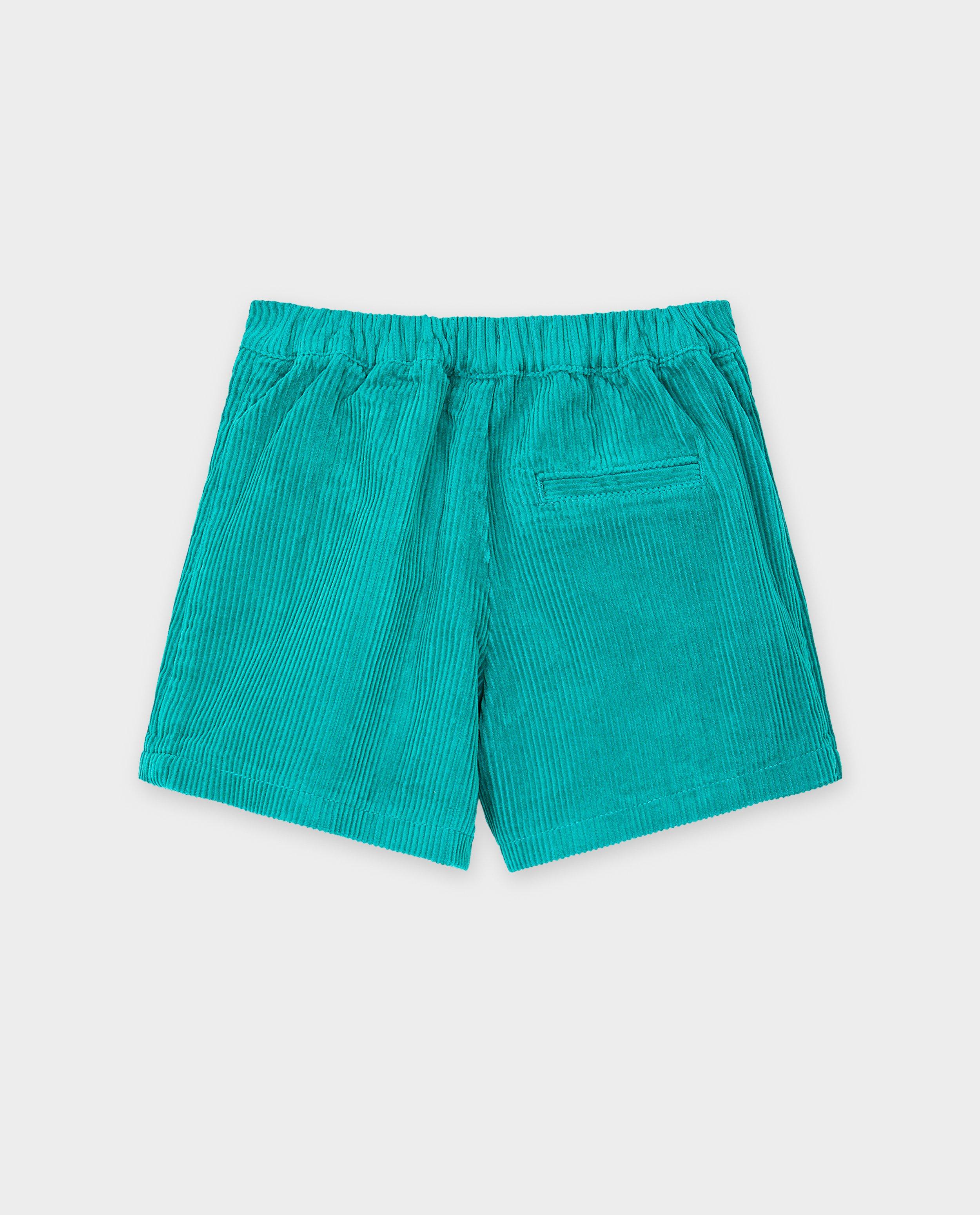 Rokken - Groene skort van ribfluweel