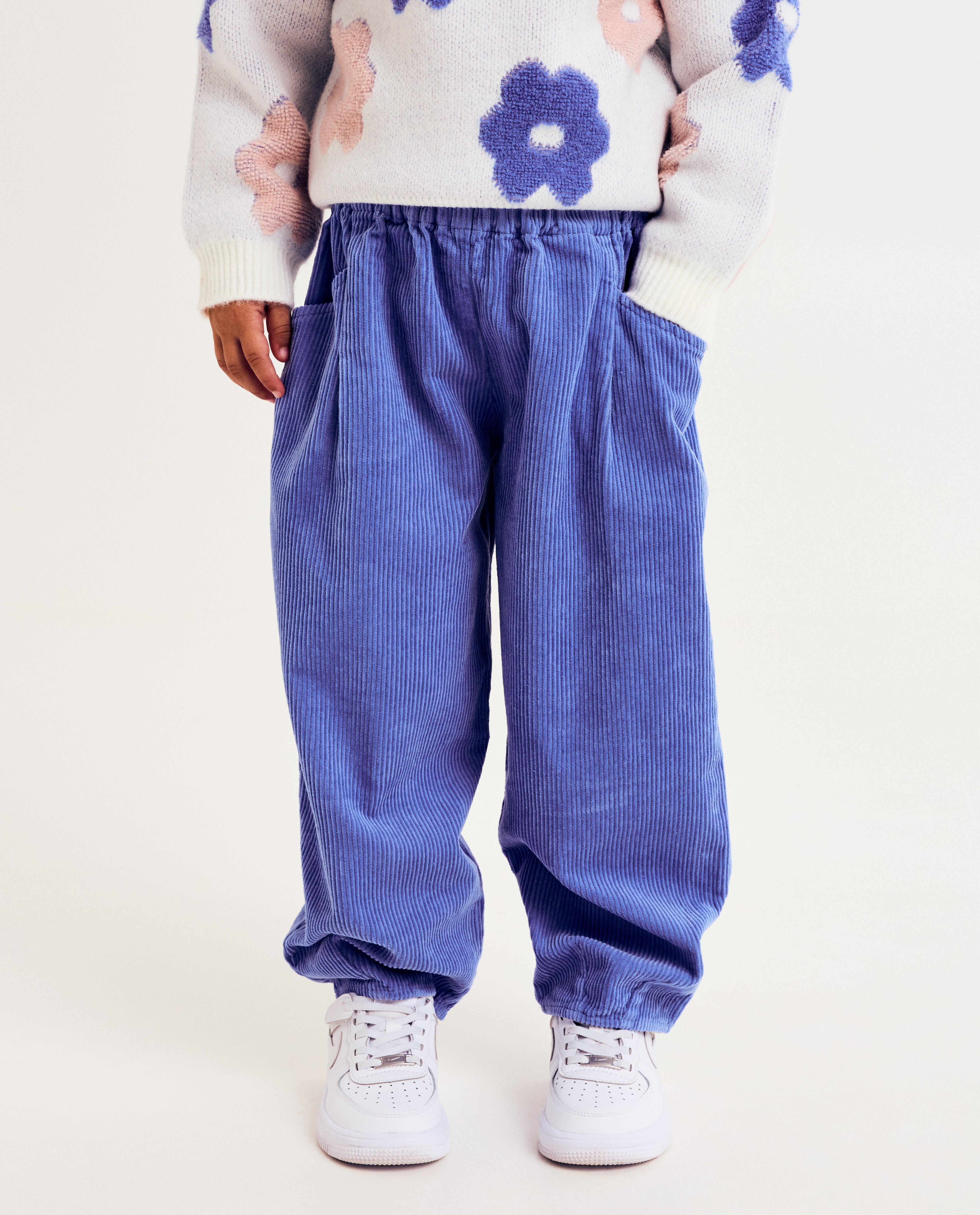 Pantalons - Pantalon bleu en velours côtelé