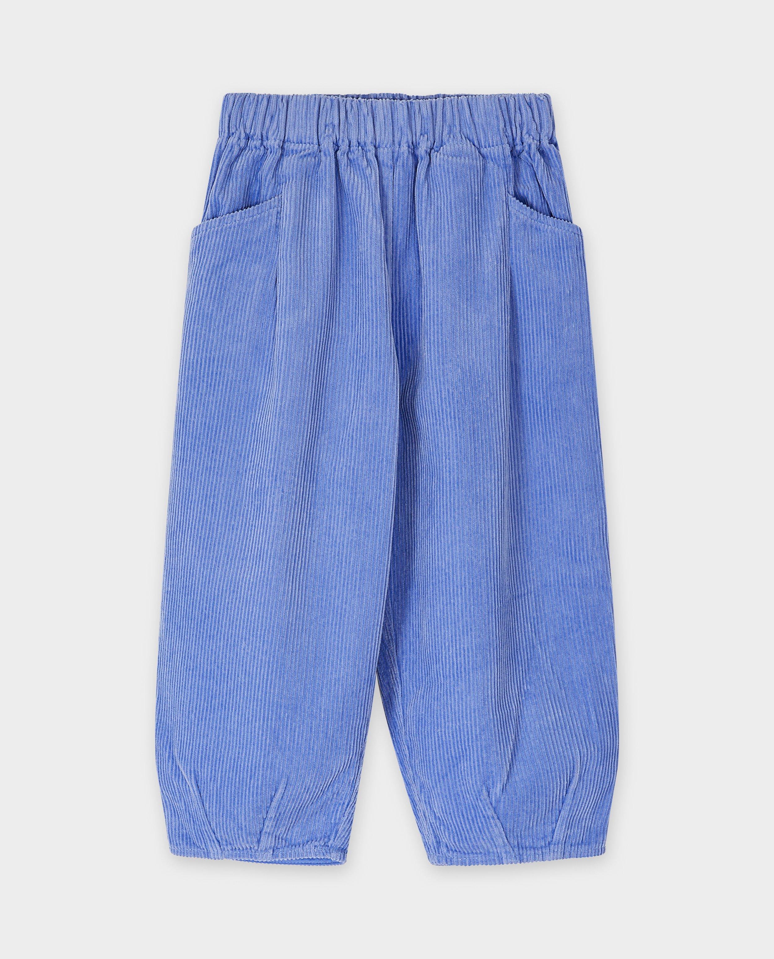 Pantalons - Pantalon bleu en velours côtelé