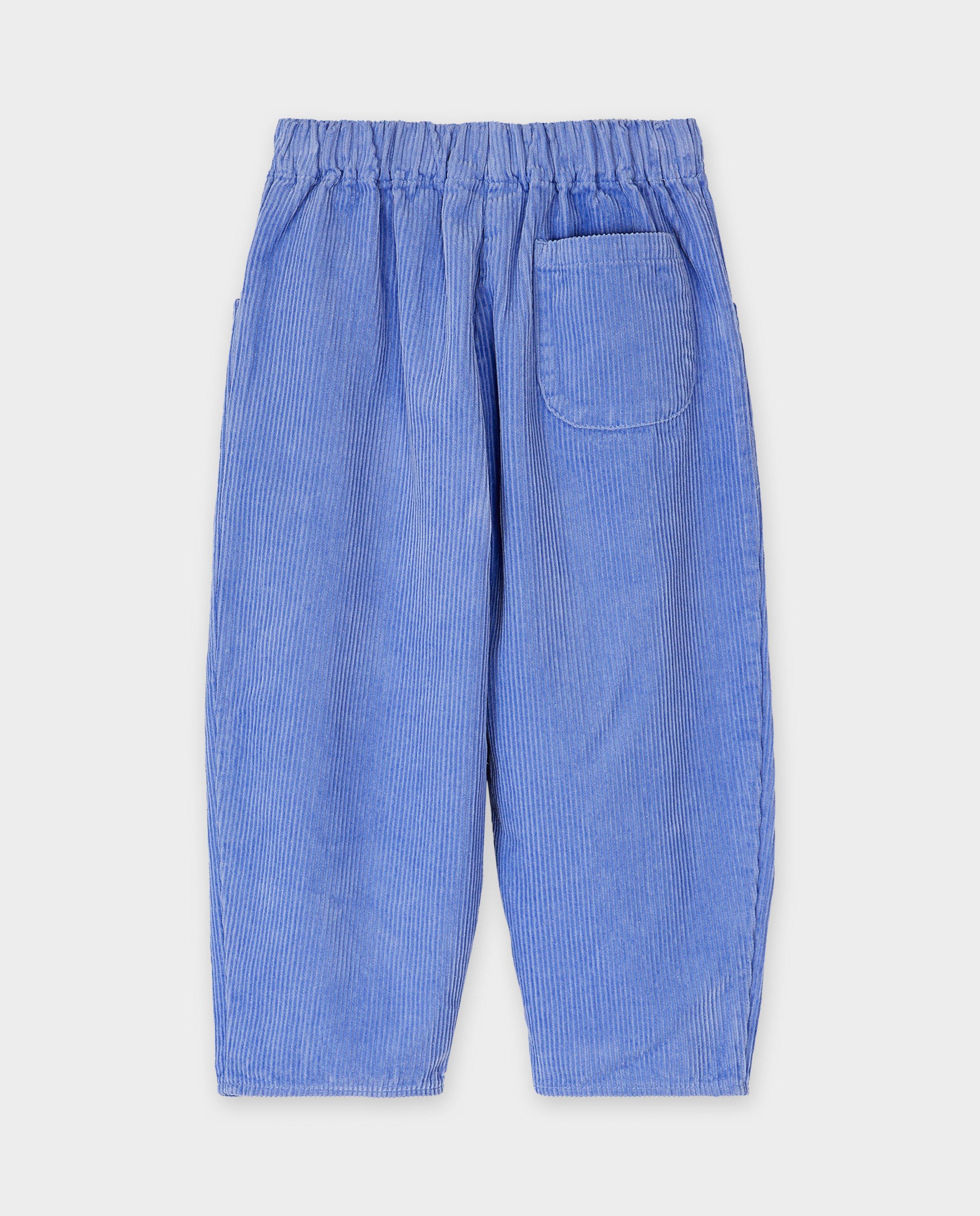 Pantalons - Pantalon bleu en velours côtelé