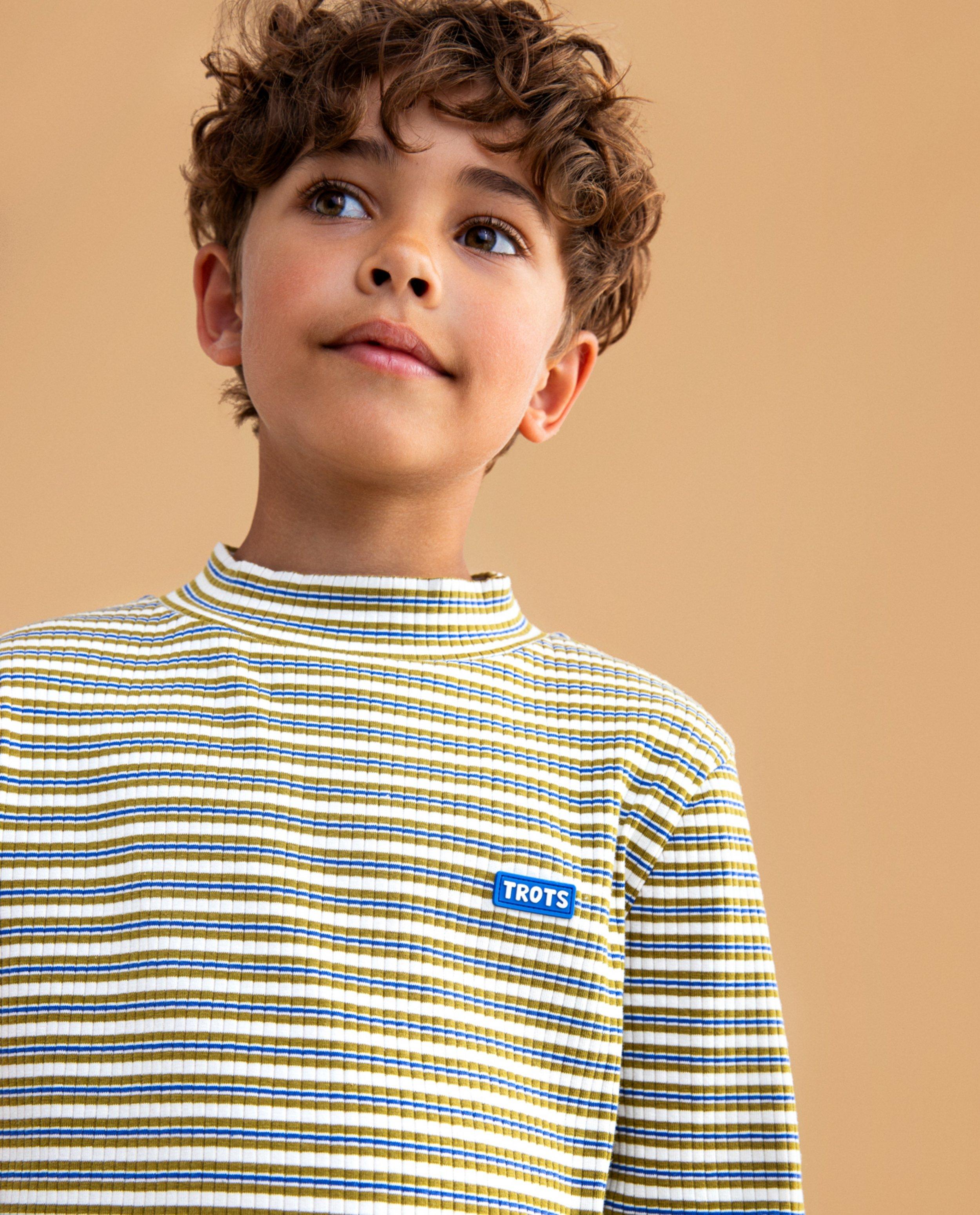 Longsleeve met strepen, unisex