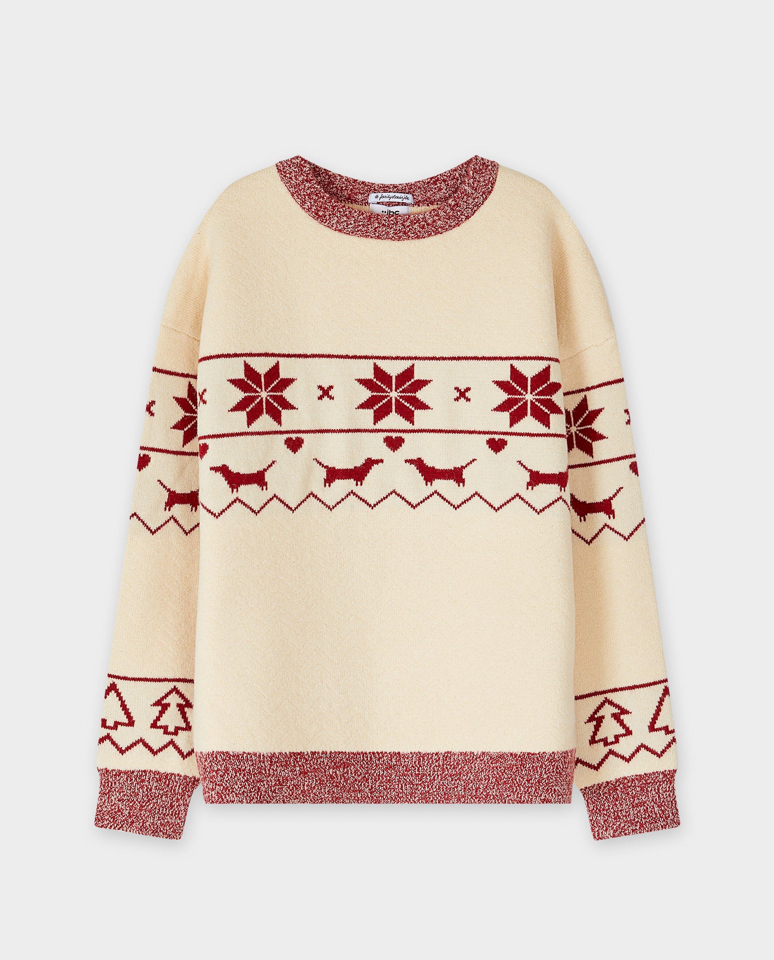 Pulls - Pull de Noël avec imprimé chien, 134-170