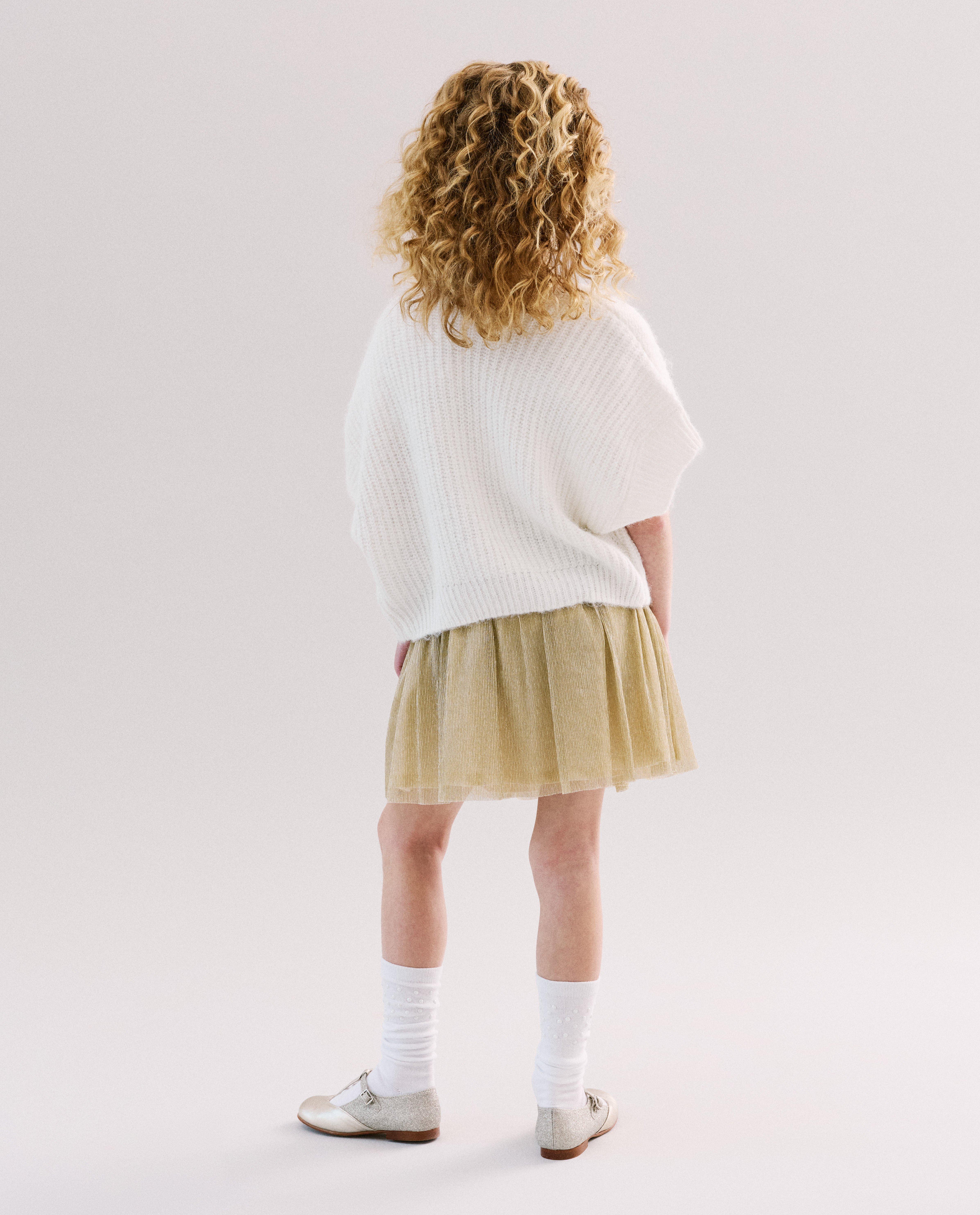 Rokken - Pliss&eacute; rok met glitter, Special occasions, 116-152