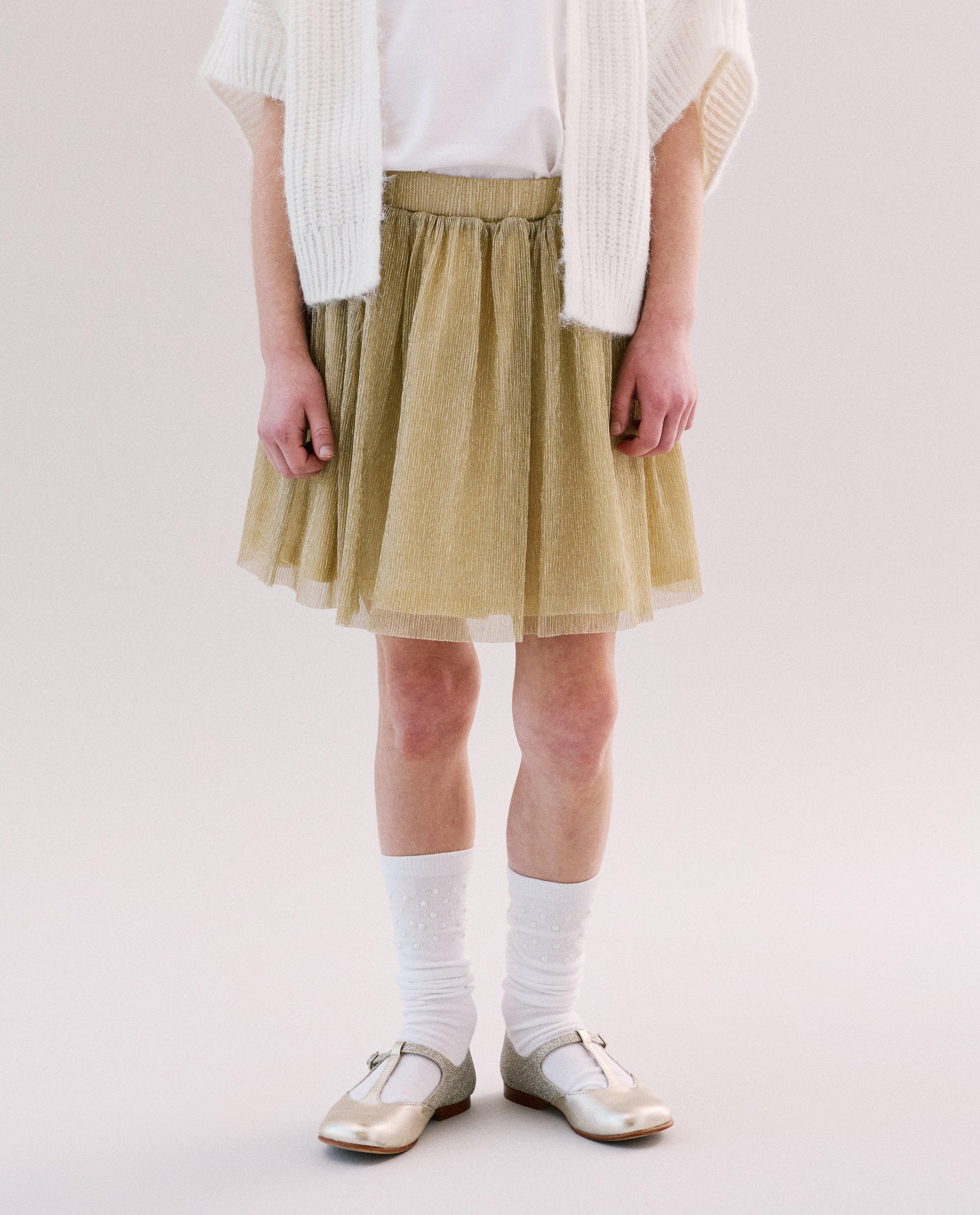 Rokken - Pliss&eacute; rok met glitter, Special occasions, 116-152