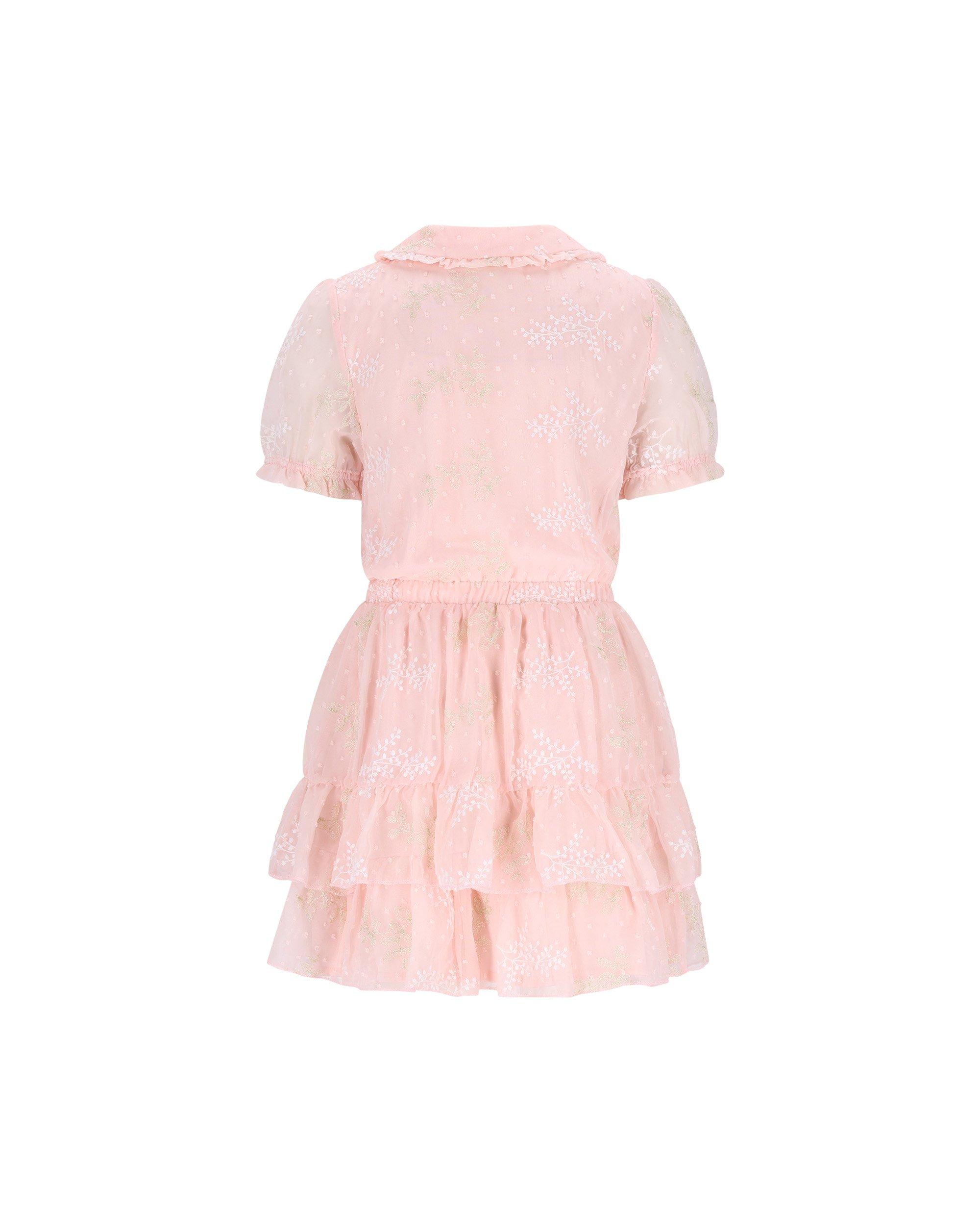 Kleedjes - Jurk met geborduurde bloemen, Special occasions, 122-152