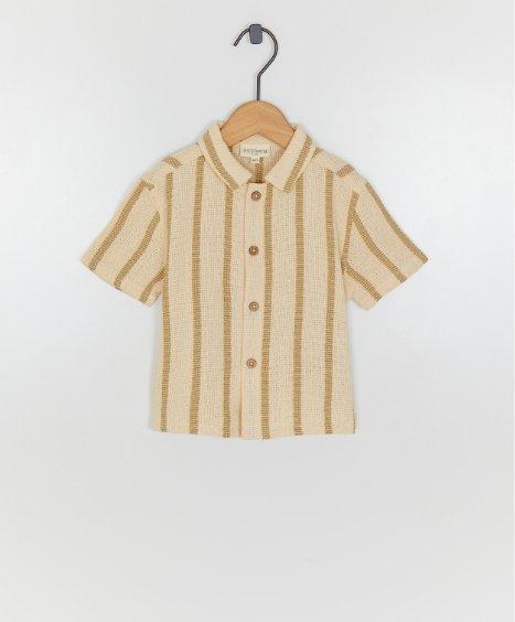 Nieuwe collectie
