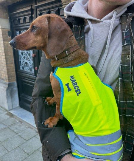 Personnalisez vos articles