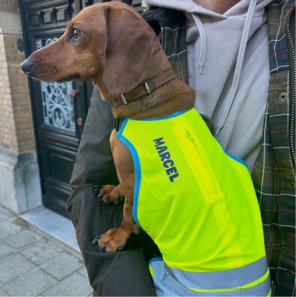 Personnalisez vos articles