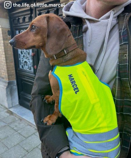 Personnalisez vos articles