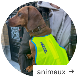 Personnalisez vos articles