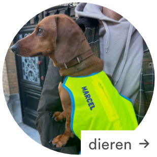 Personaliseer je items met JBC