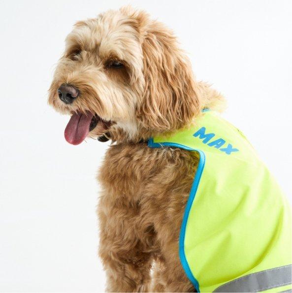 Dieren items personaliseren